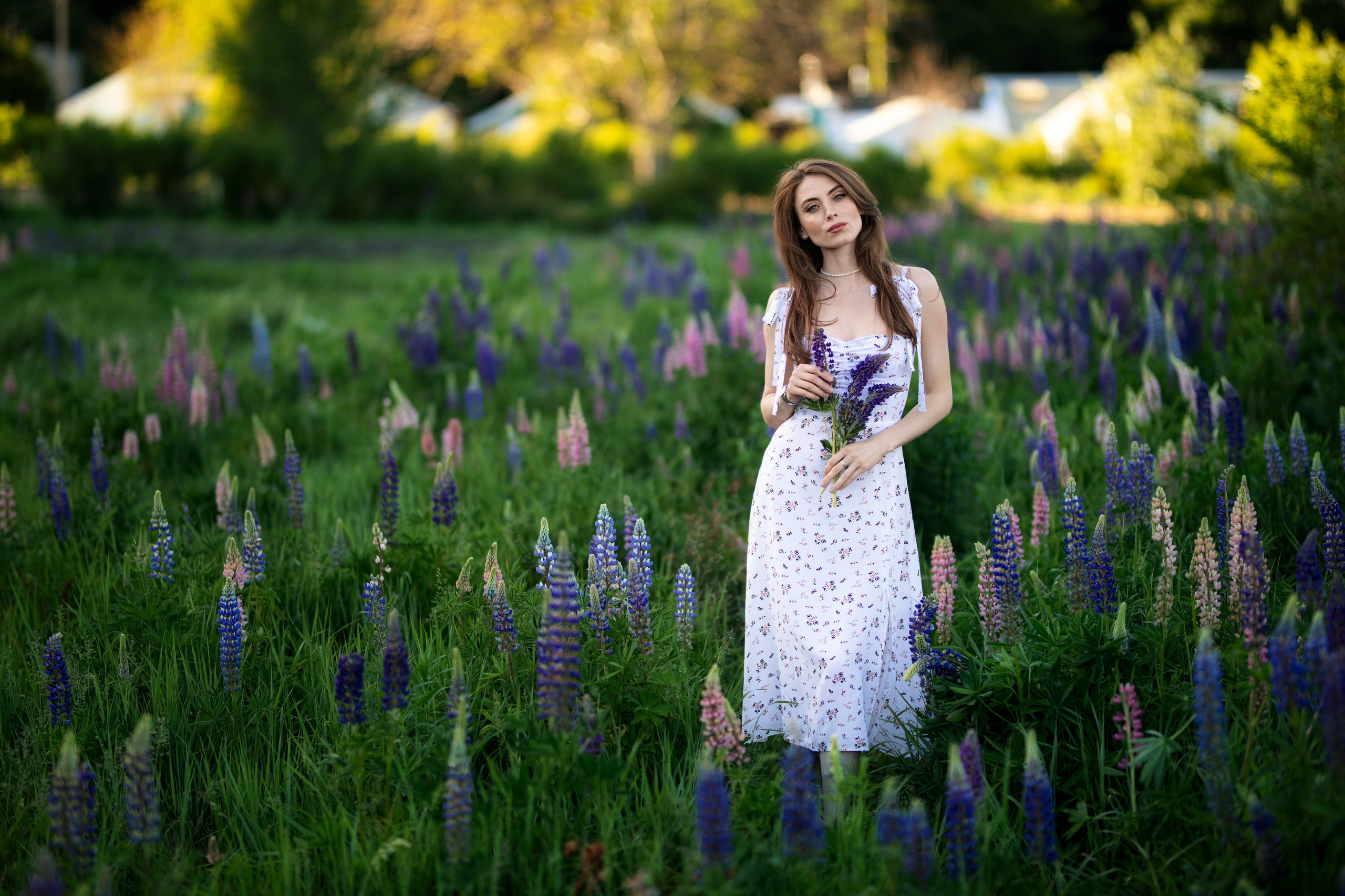 Фотосессия с Надеждой с люпинами в формате «для себя». Дмитрий Шульгин, портретный фотограф в Воронеже