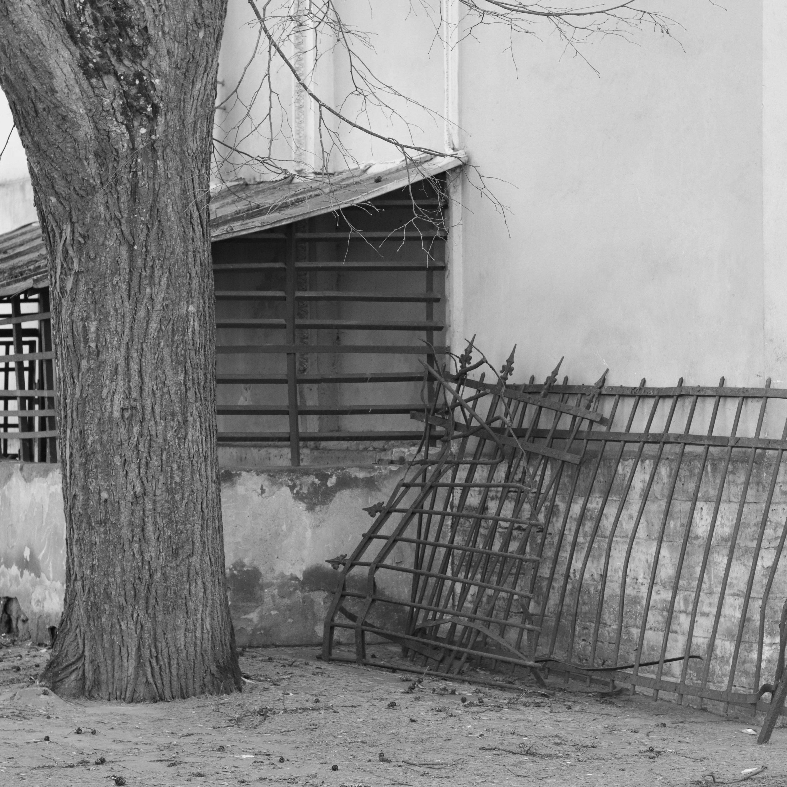 Tsarskoe Selo. Фотограф и исследователь фотографии из Санкт-Петербурга Елизавета Веприцкая