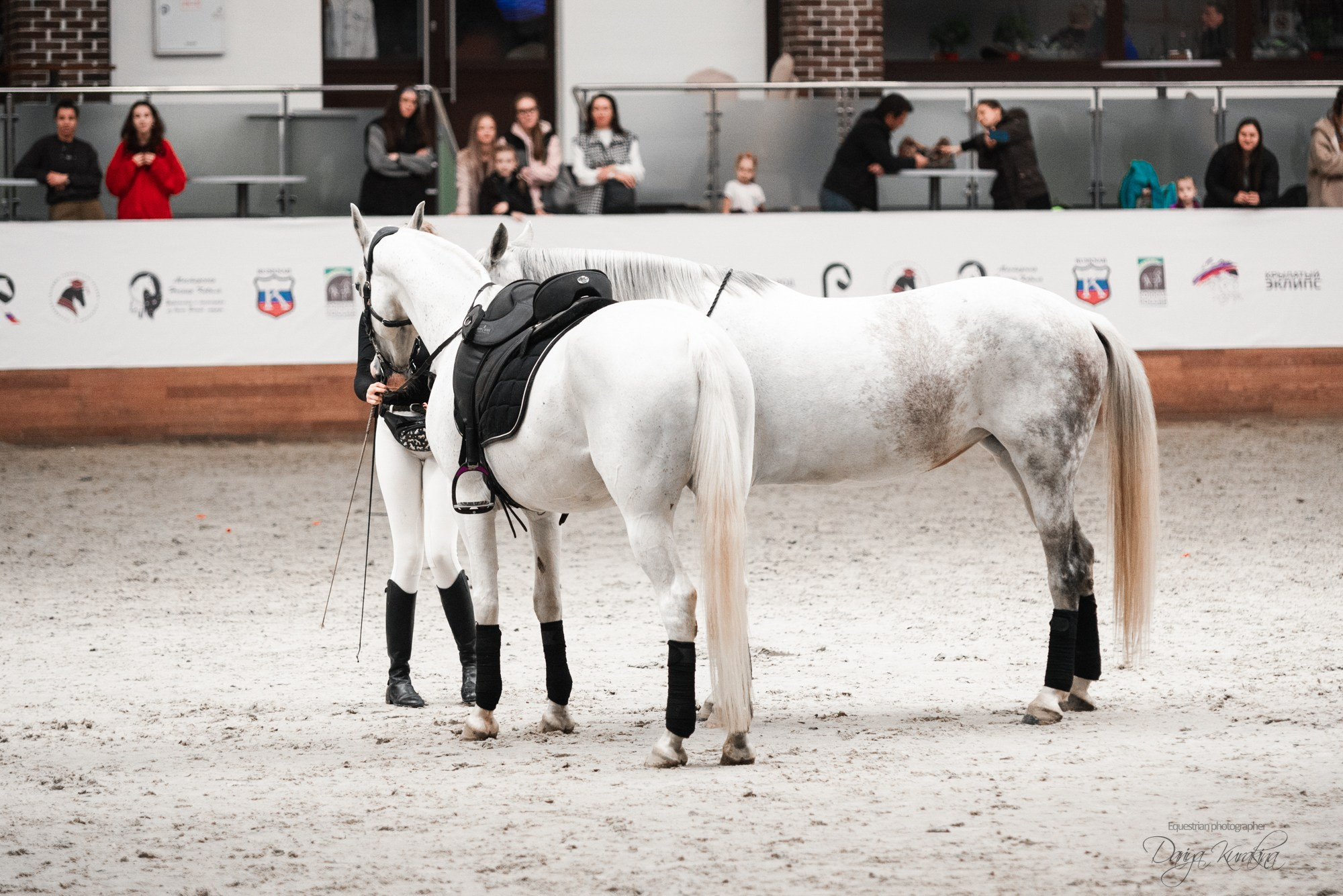 8-я международная выставка Конная Россия. Конный фотограф Куракина Дарья • Фотосессии с лошадьми