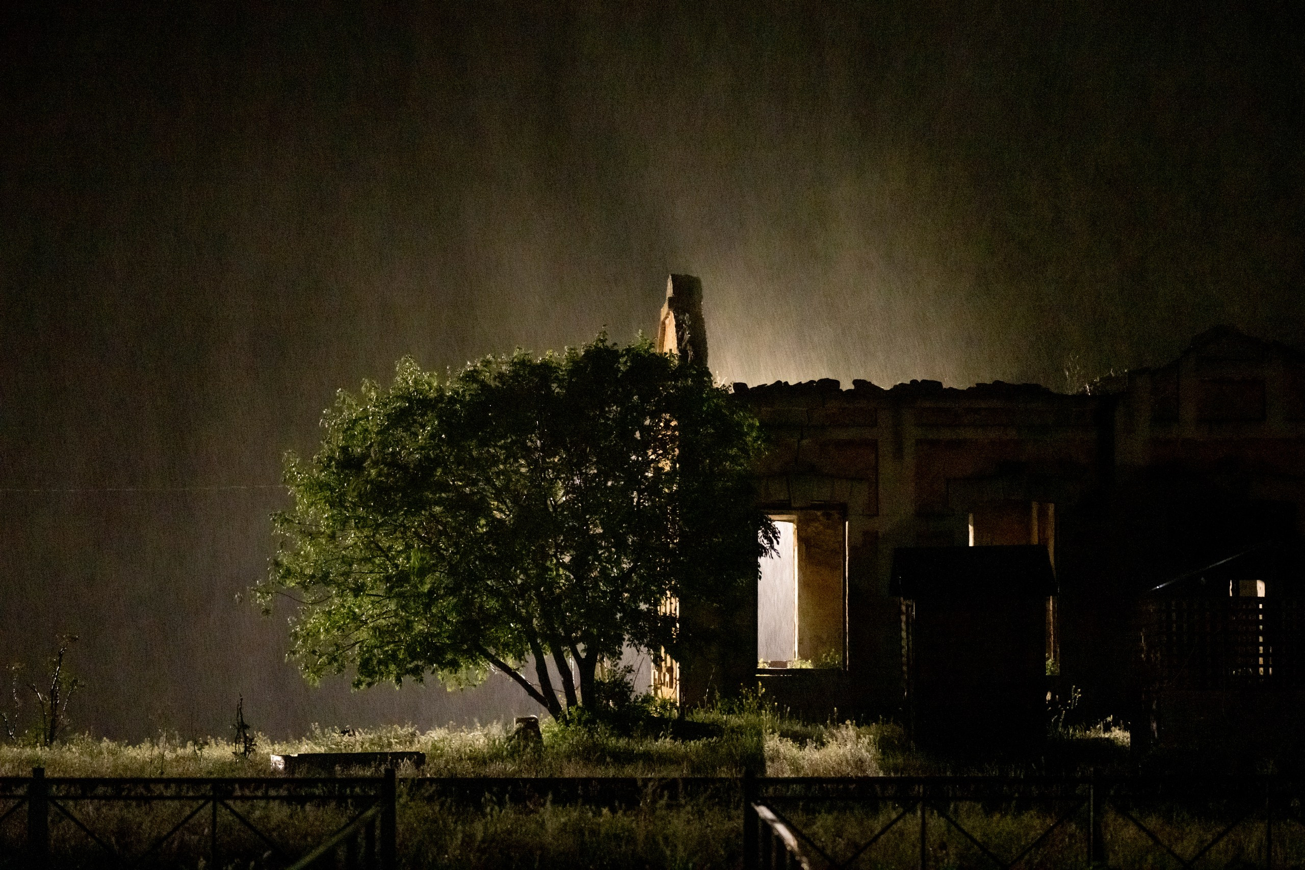 Дикая природа Дагестана. Май 2025 г. Foto-Zuev фотография как искусство