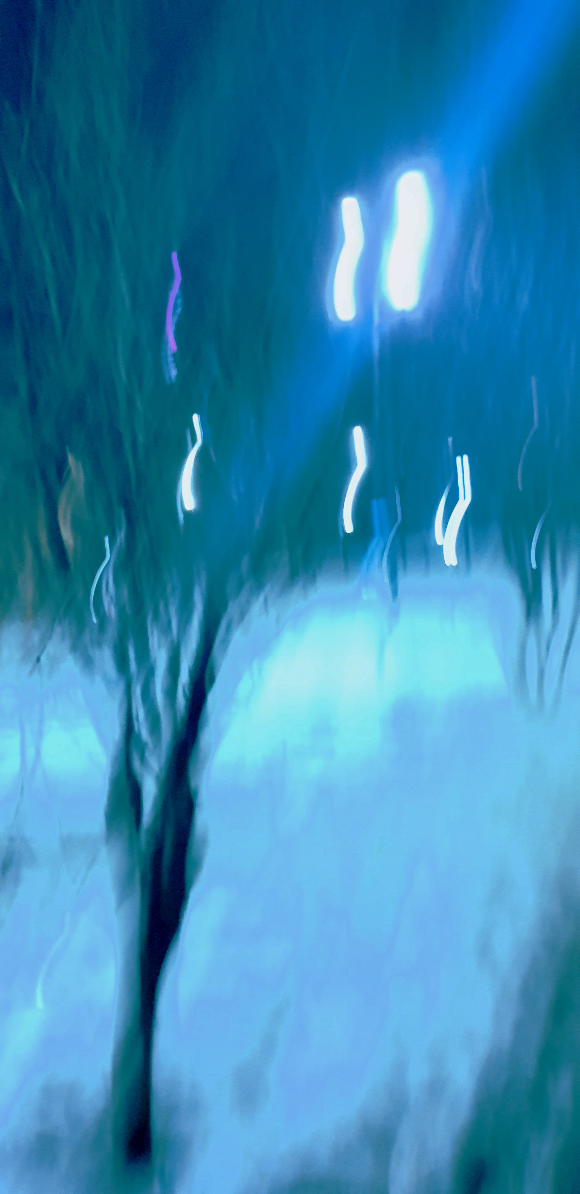 Kazan. Фотограф в Казани Чебакова Александра