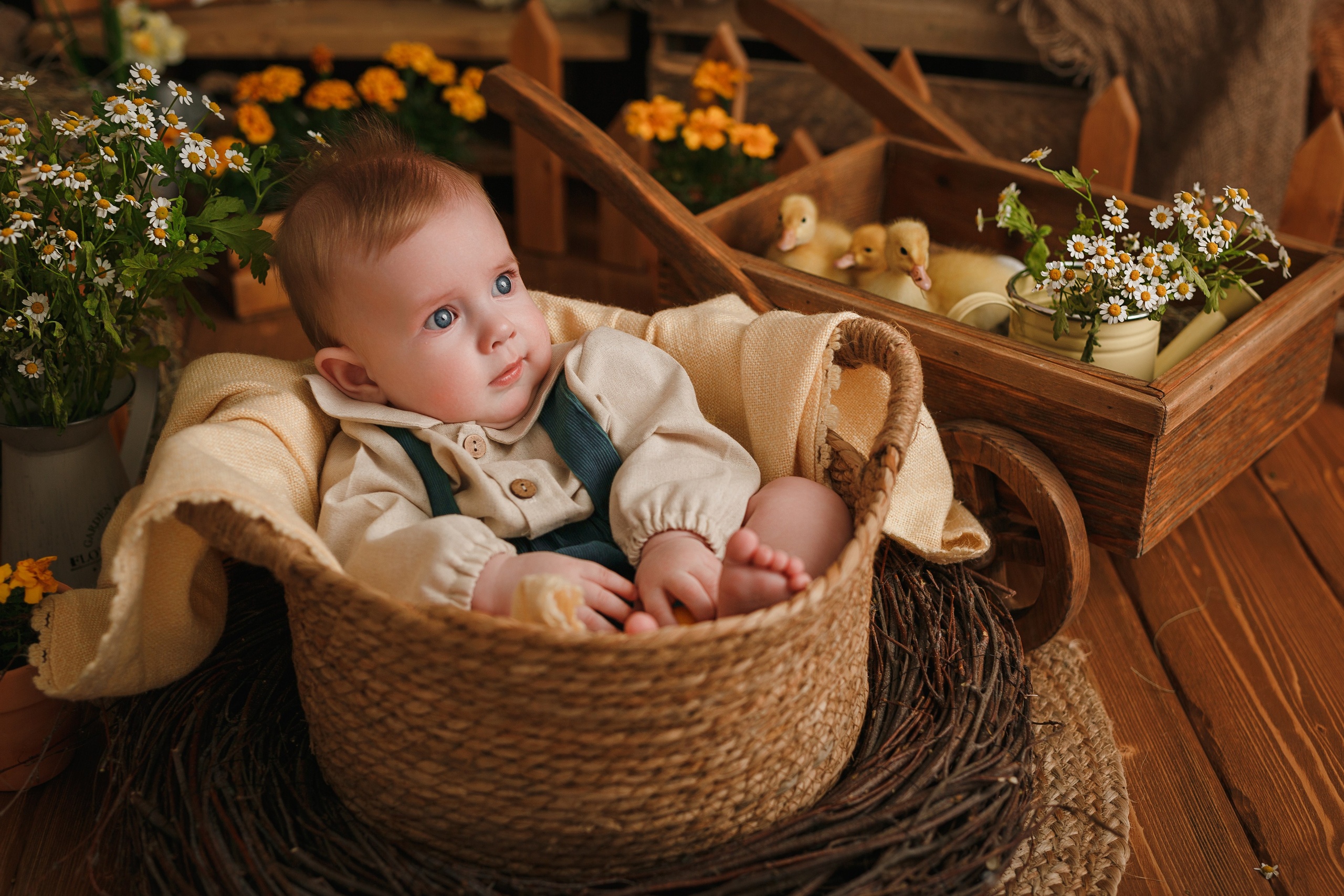 Фотопроекты. Профессиональная детская и семейная фотостудия в Краснодаре