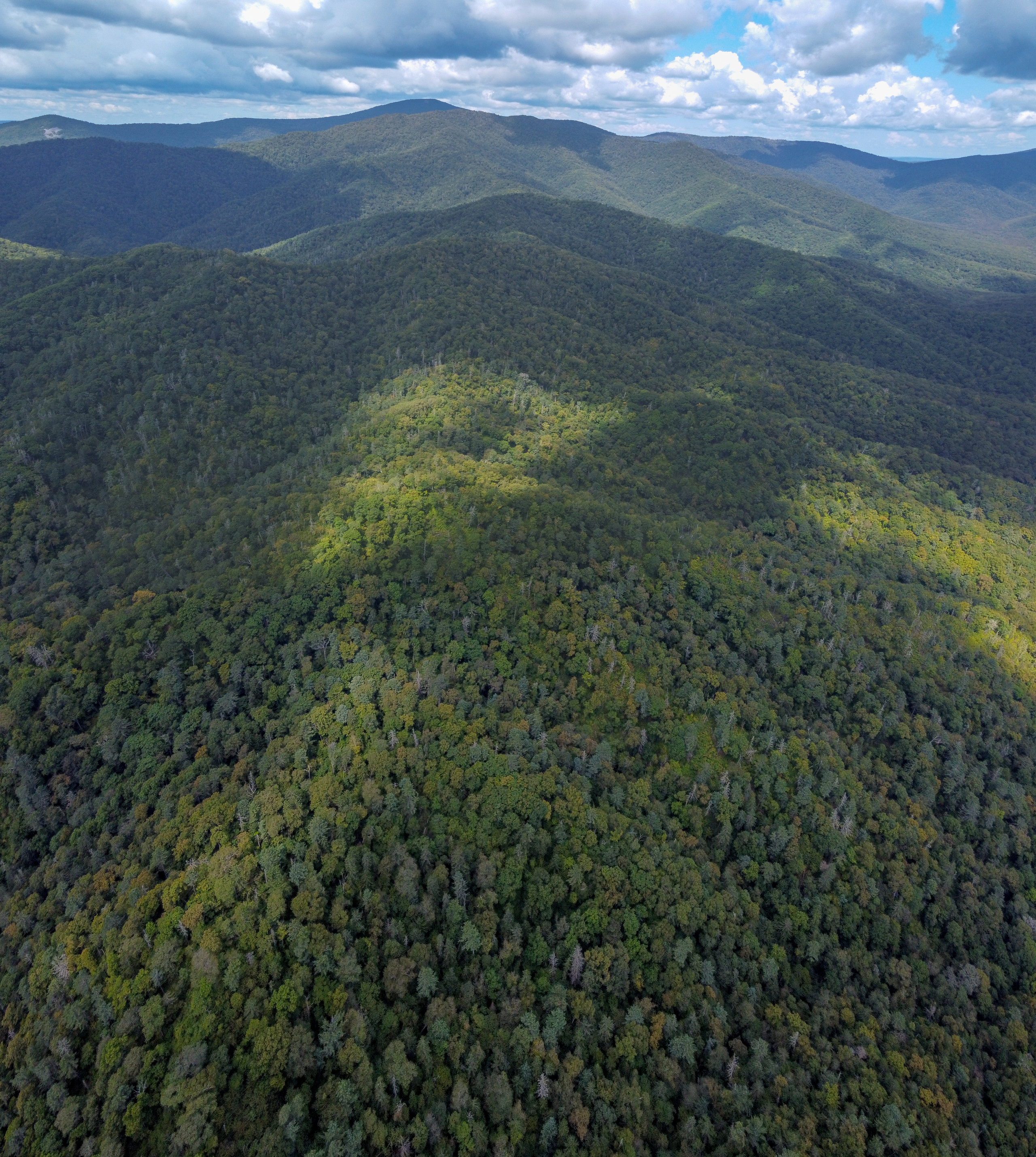 Аэросъёмка. Фотограф Валентин Кольцов, фотограф владивосток, свадебный фотограф, с