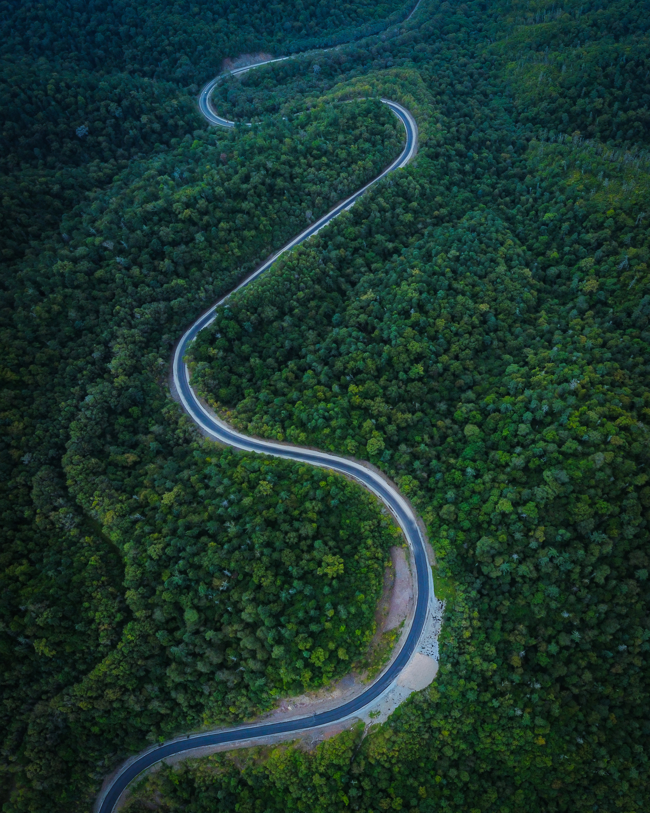 Аэросъёмка. Фотограф Валентин Кольцов, фотограф владивосток, свадебный фотограф, с