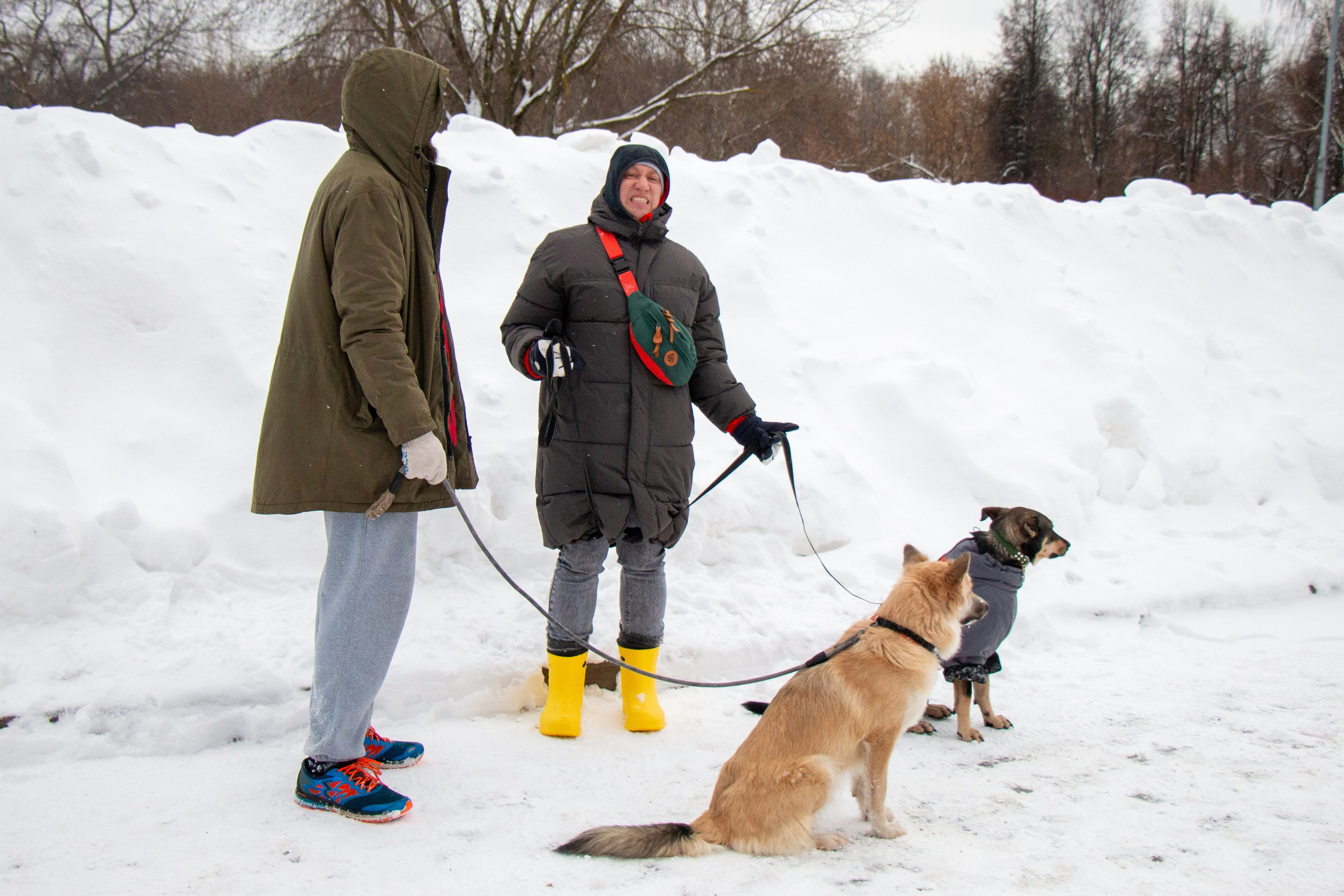 Репортаж. Главная
