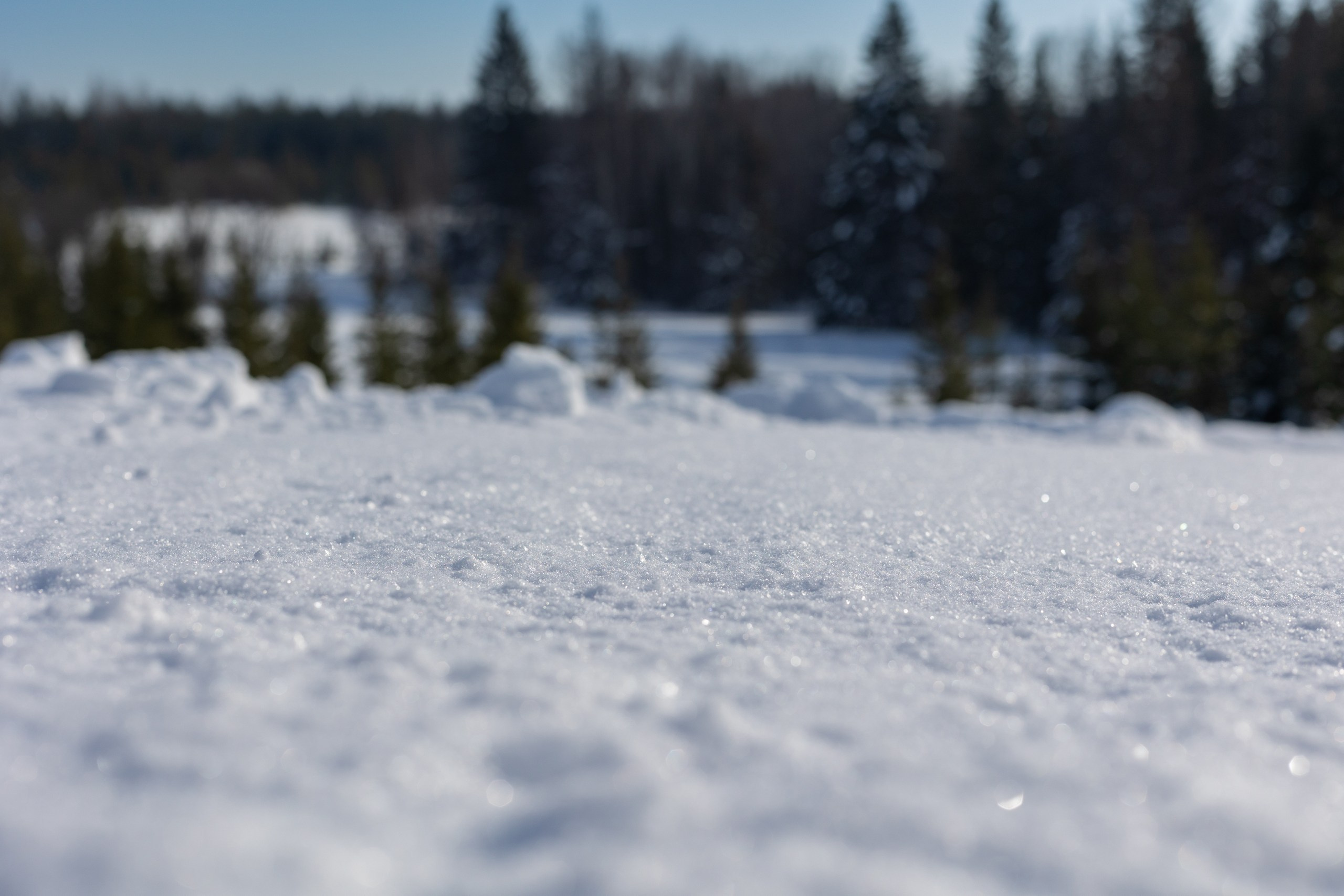 Егор. Семейный и детский фотограф в Перми Юдинцева Юлия