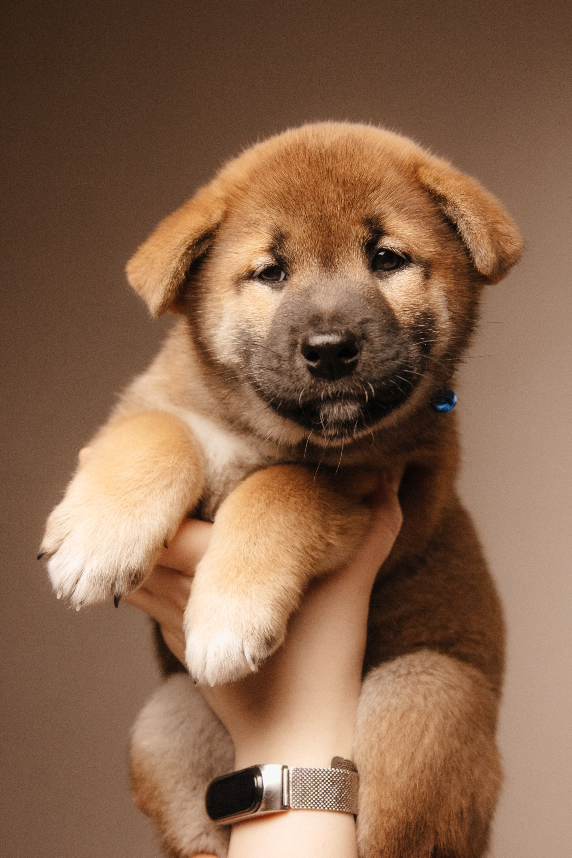 LOVE. Семейный фотограф Казань Никита Федин