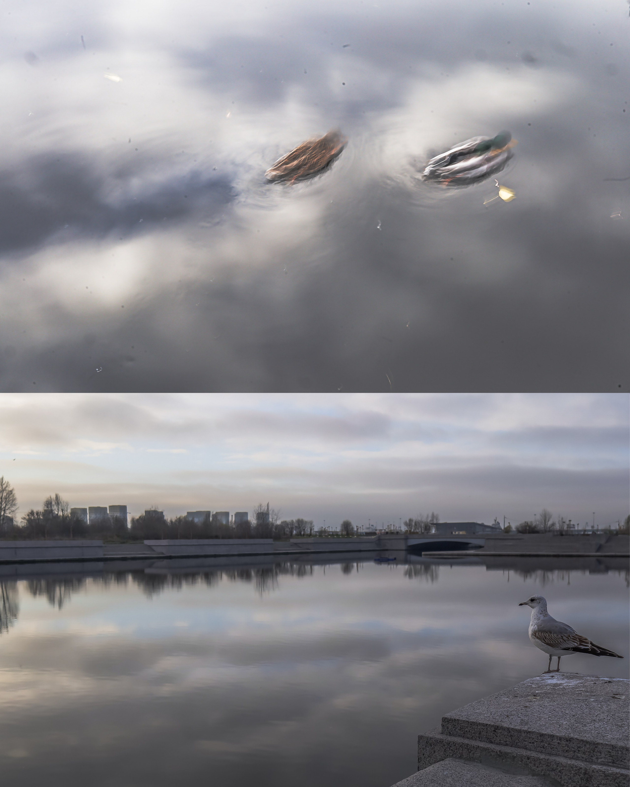 Пространства &. Фотохудожник в СПб