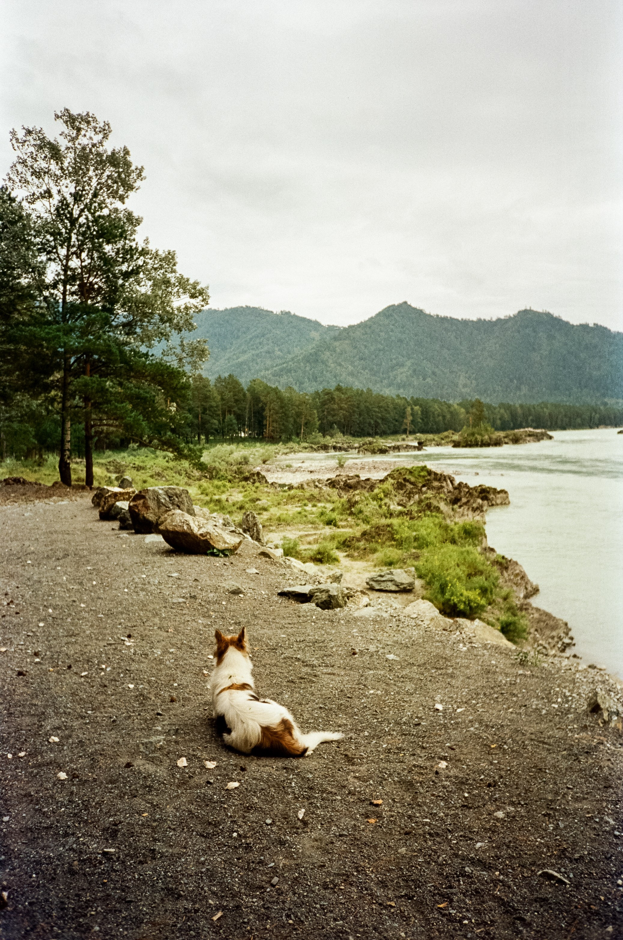 Остров Патмос и Сила Алтая. Фотограф-документалист Мария Осокина