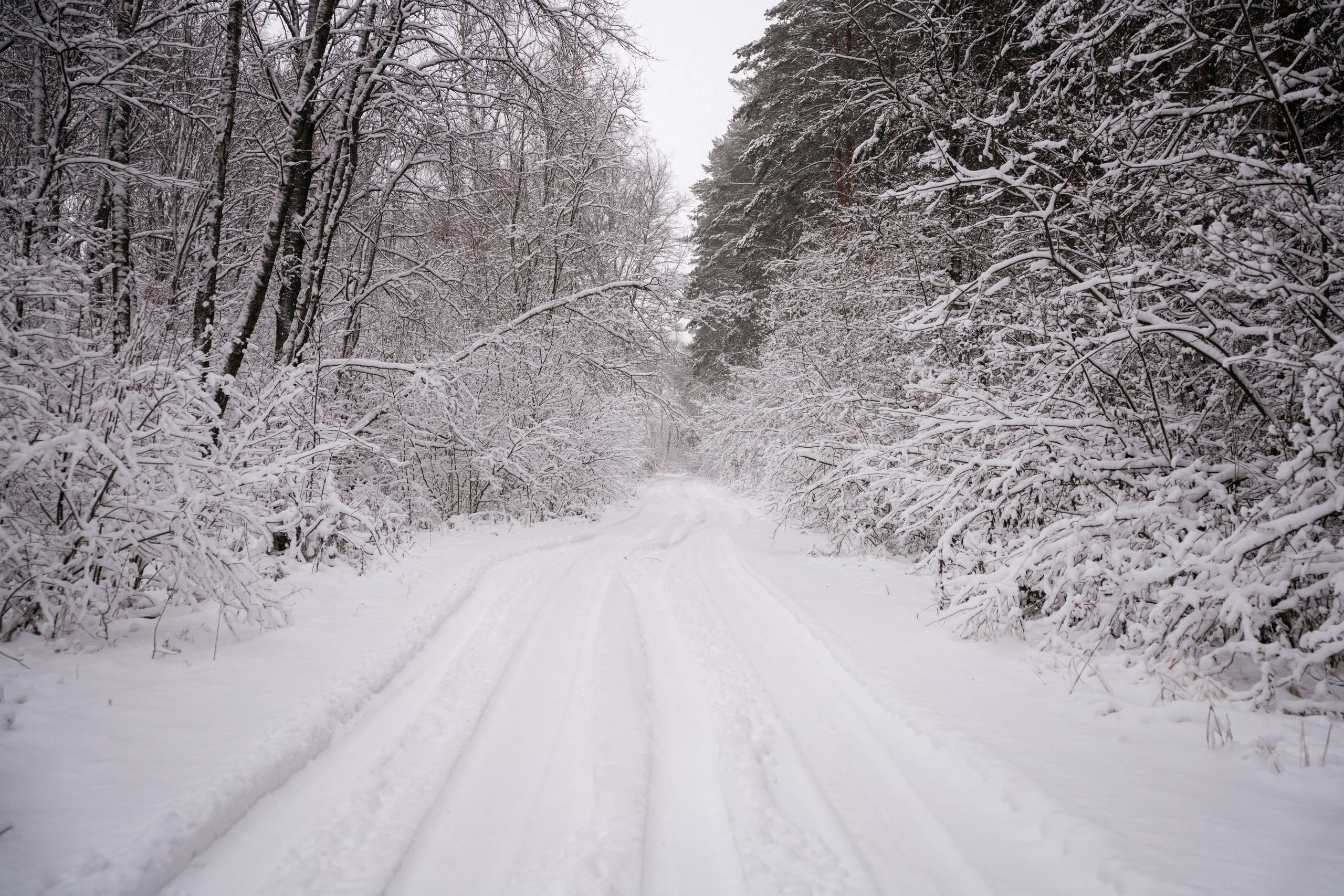 Поездка к р. Песочня и деревне Раевское. Vlad Trykov