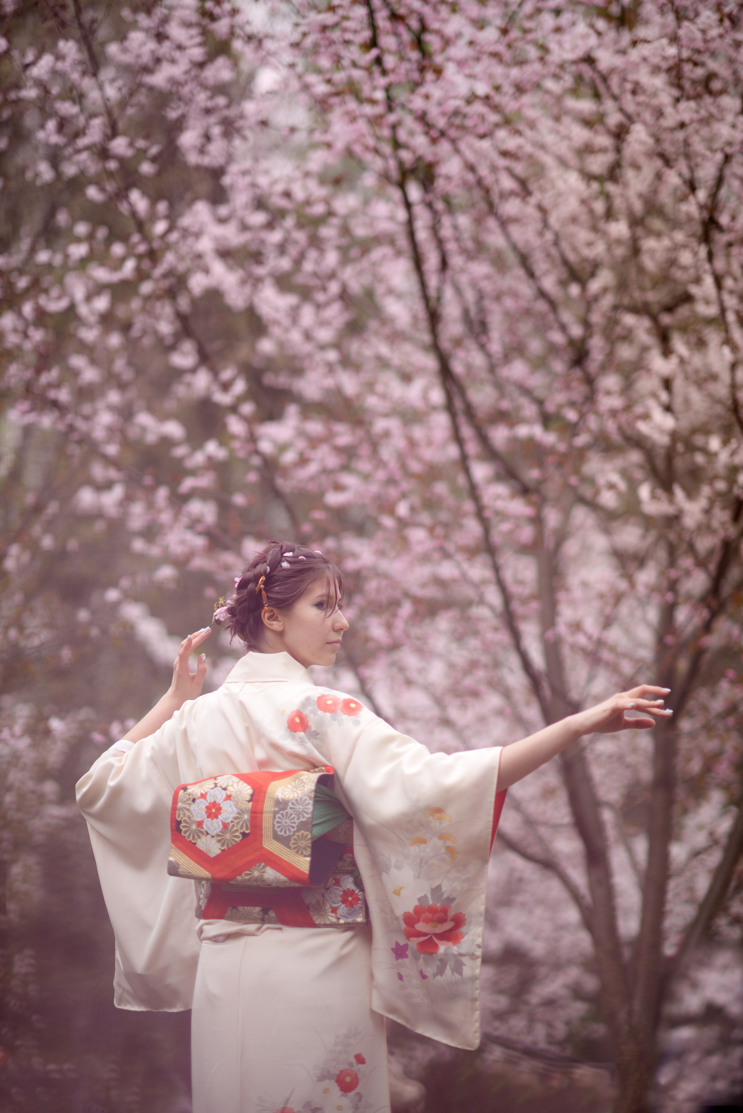 Любование сакурой в Бирюлевском дендропарке. Главная