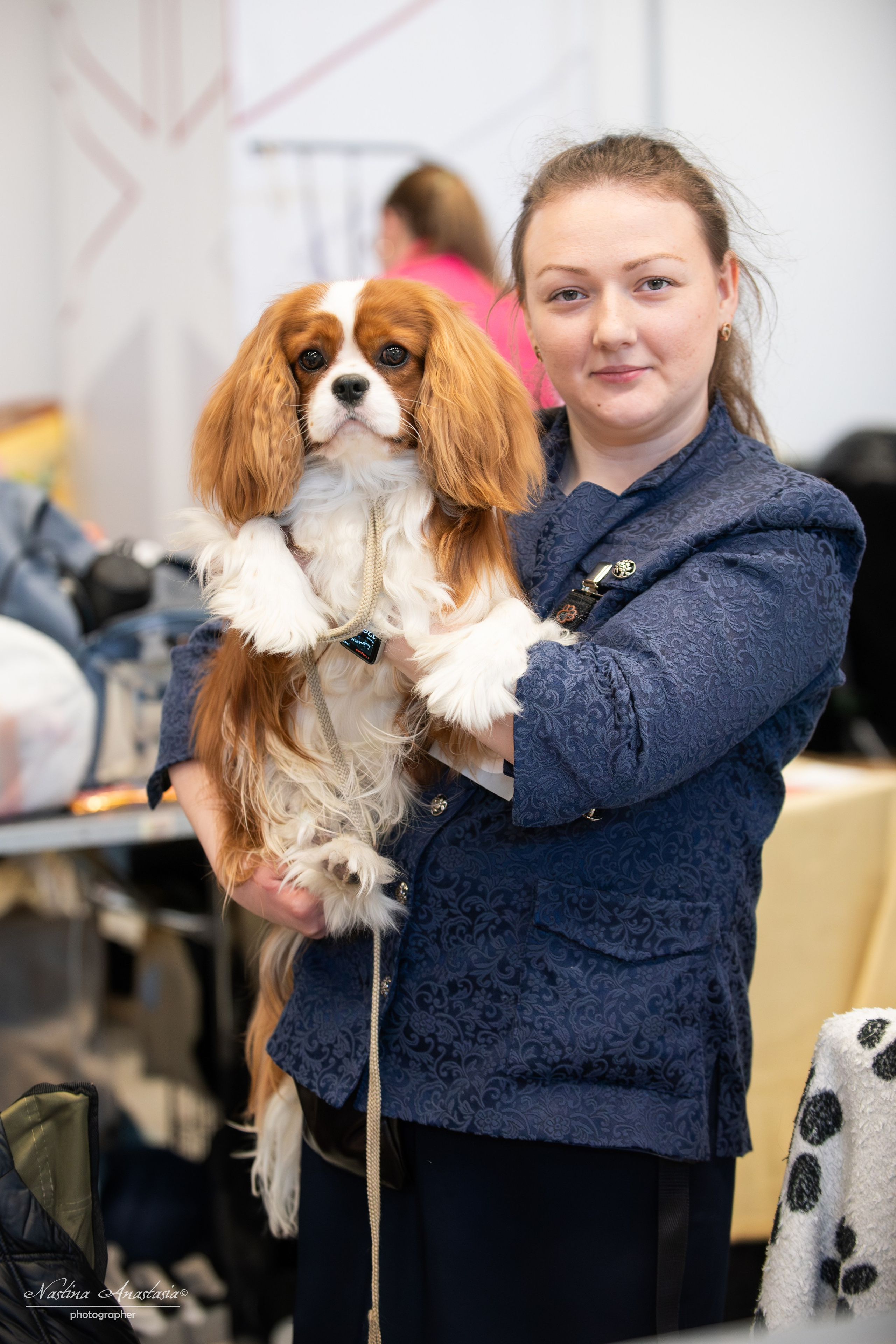 Выставки. Фотограф — Анималист