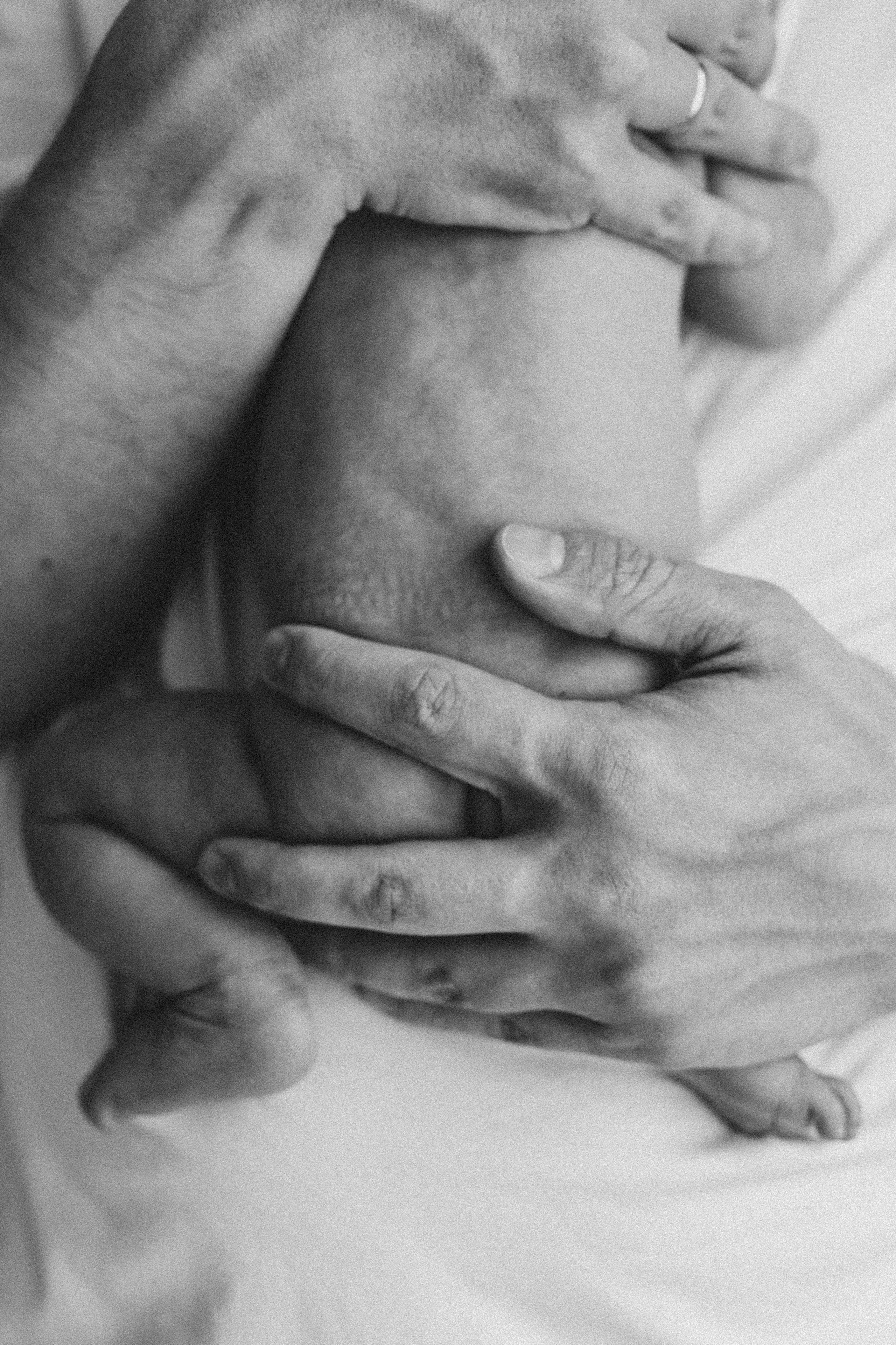 Даша newborn. Семейный фотограф Москва