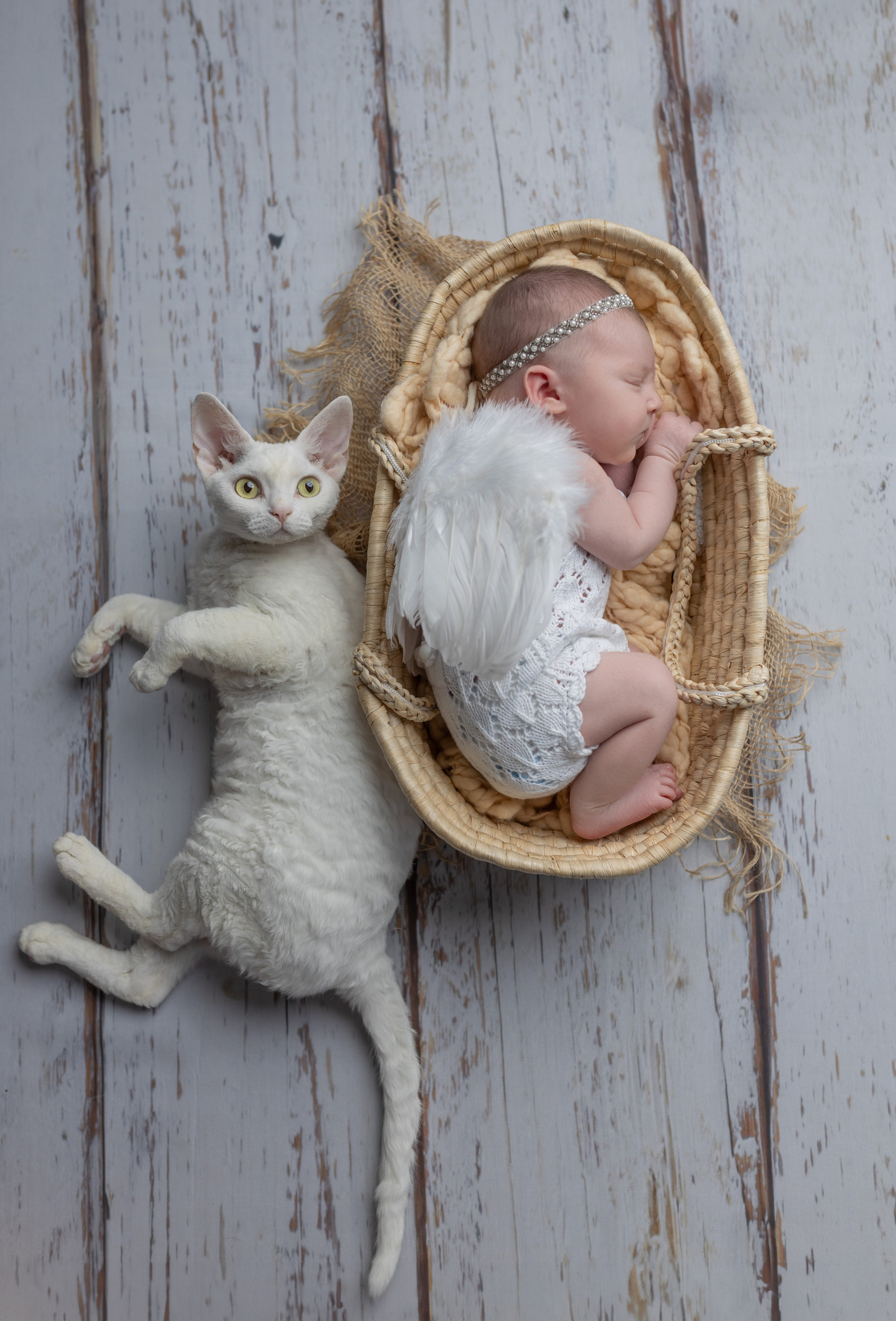 Девочки. Фотограф новорожденных и семей с детьми Севастополь