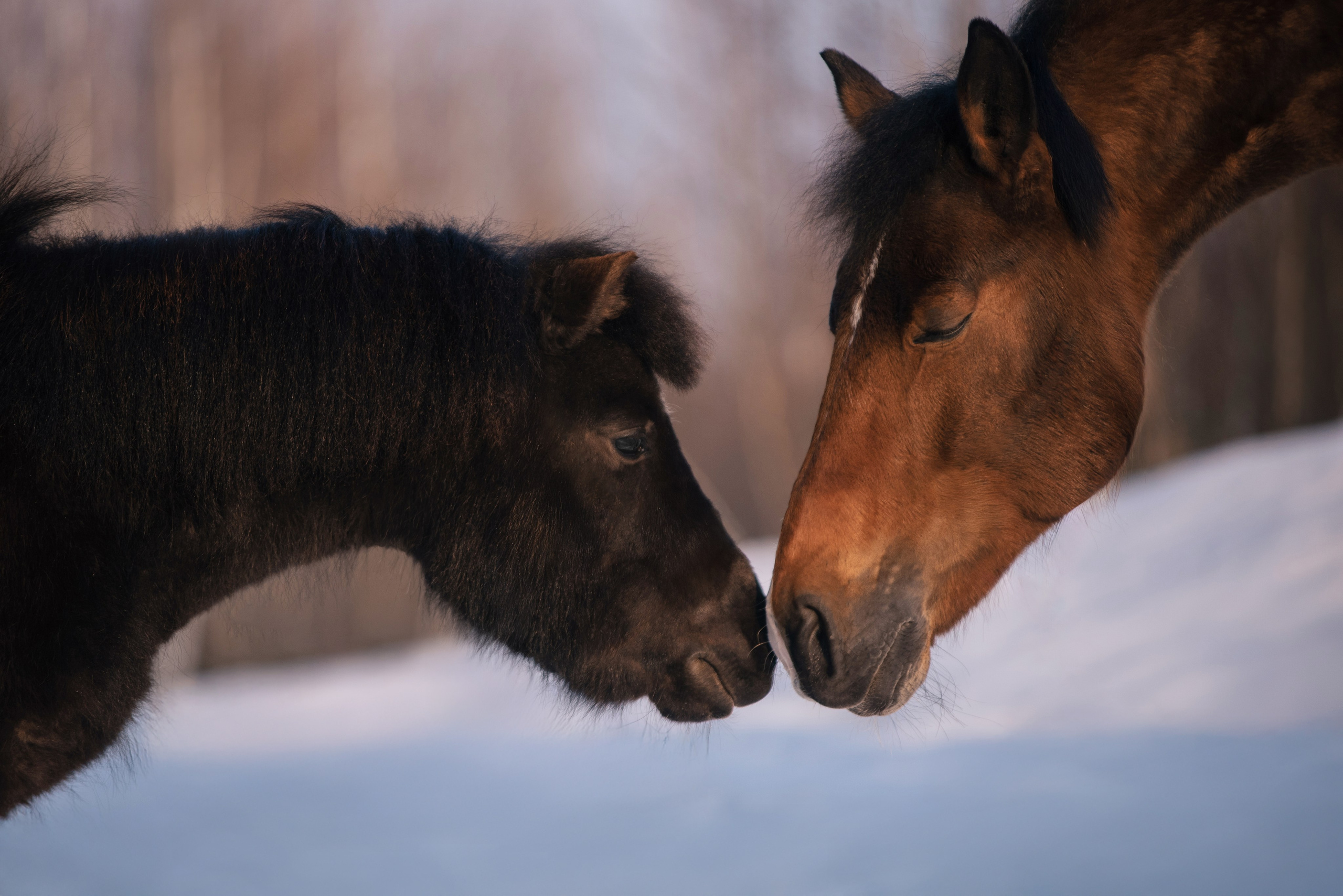 Кантри Клаб. Фотограф Анна Тюрина