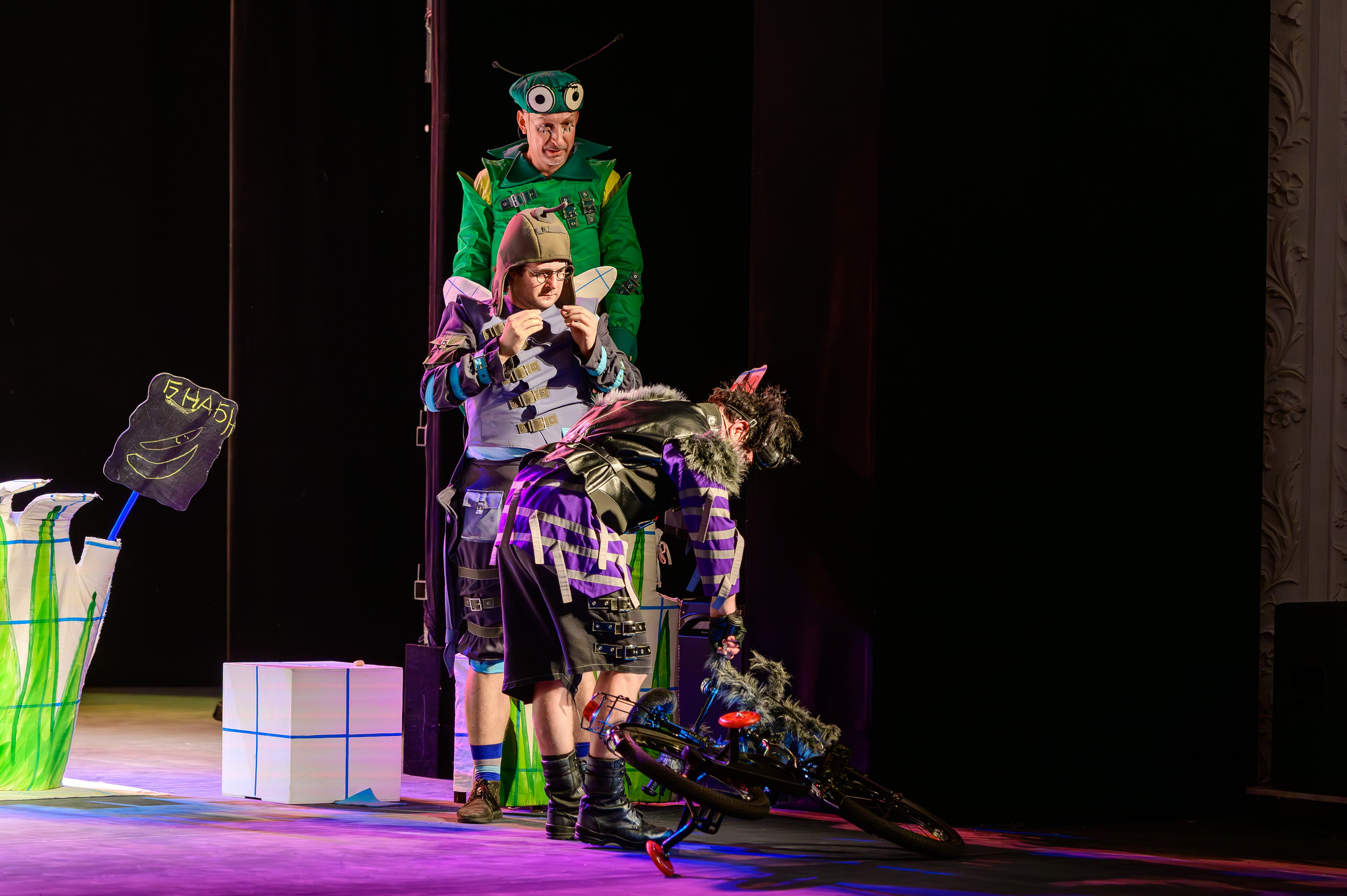 Муха Цокотуха. Фотоуслуги, услуги фотографа, фотографирование важных событий