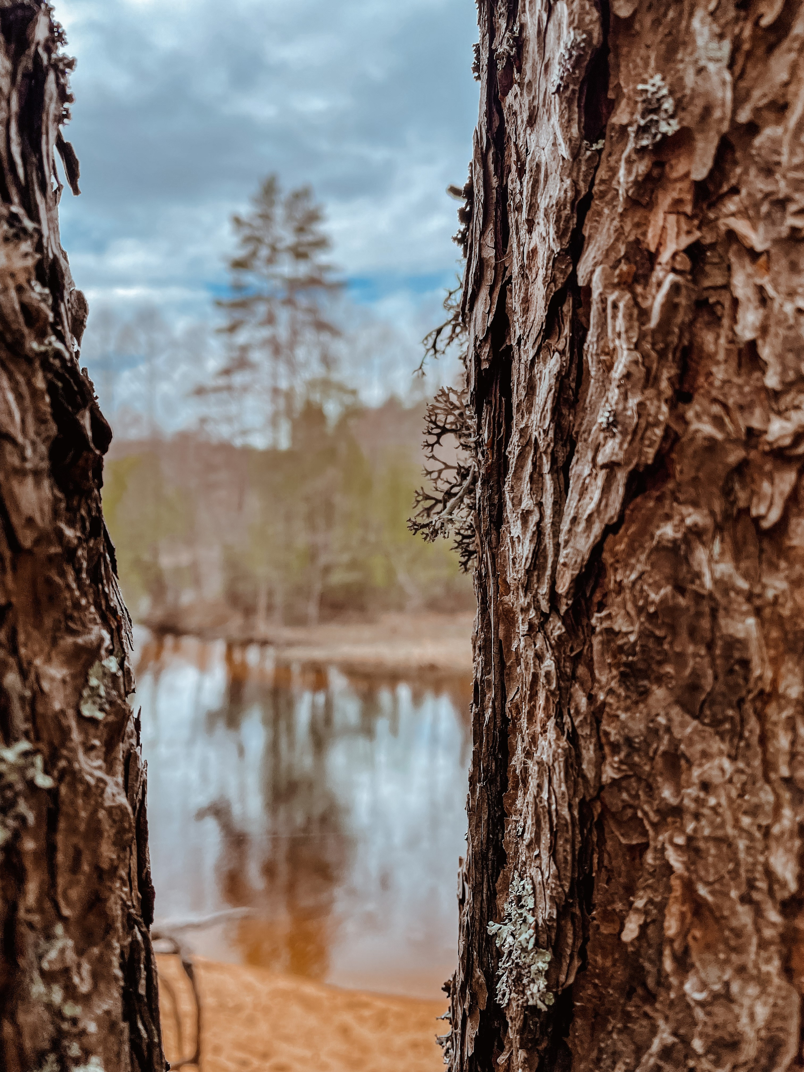 Пейзаж. Фотограф Олеся Шипихина г. Москва