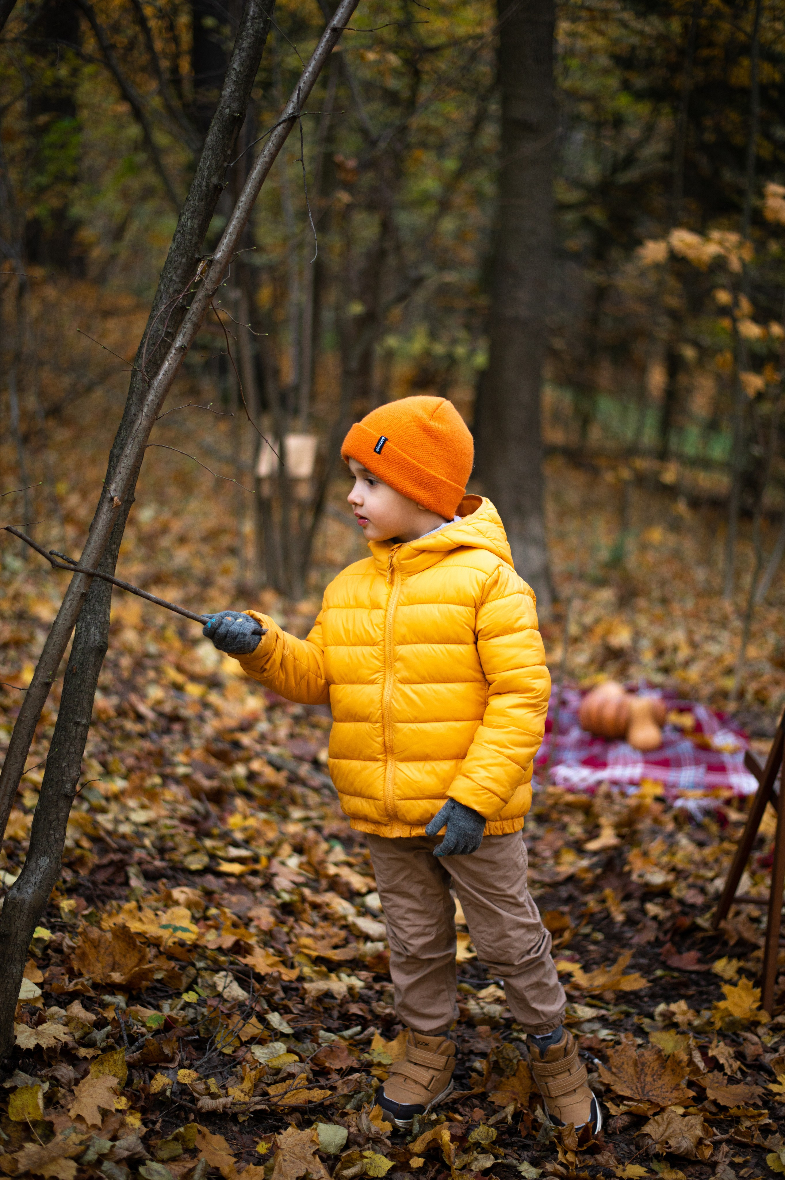 Осень в Шуваловском парке. Фотограф Санкт-Петербург | Дарья Першина