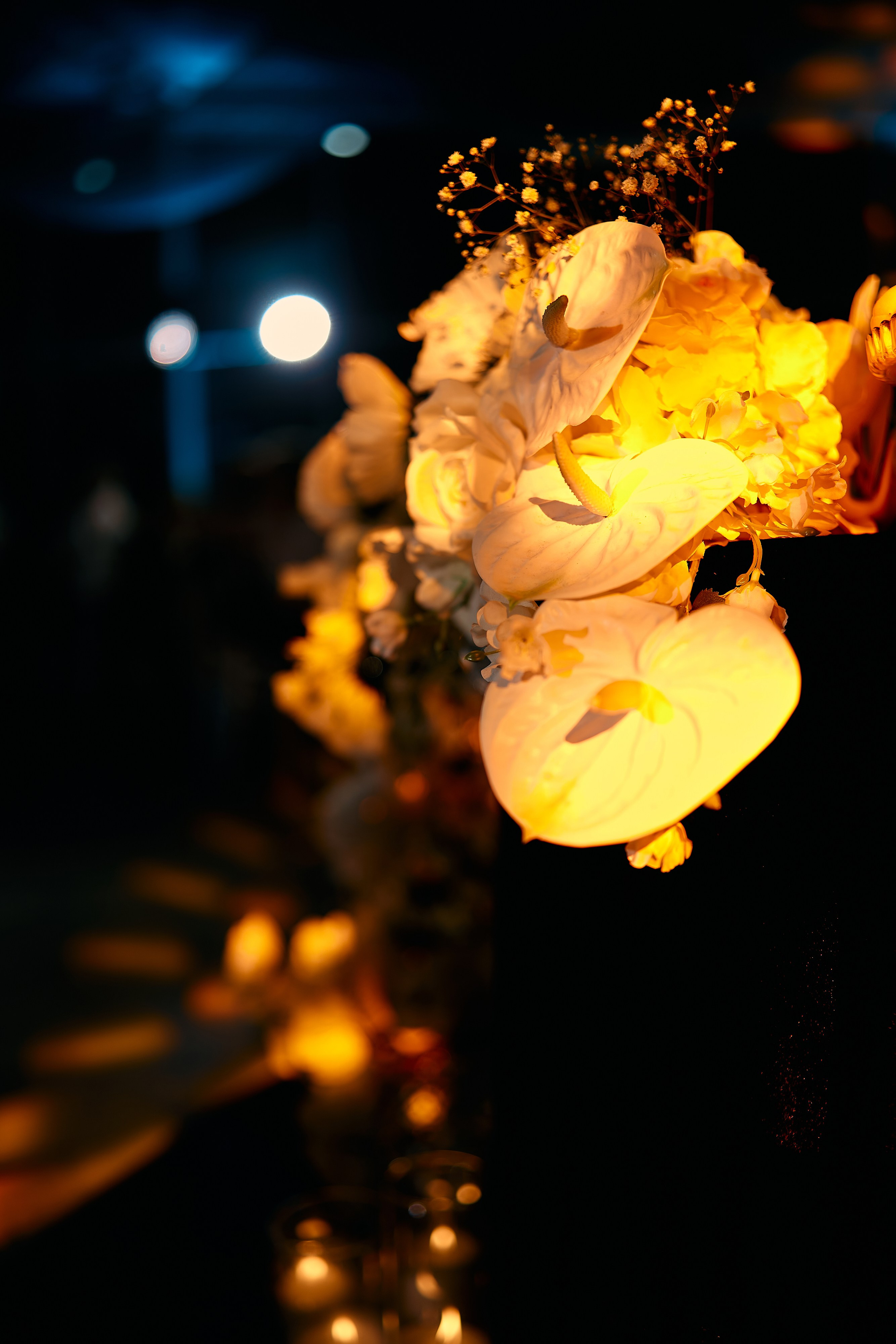 Алина и Денис. Свадебный фотограф Минск РБ