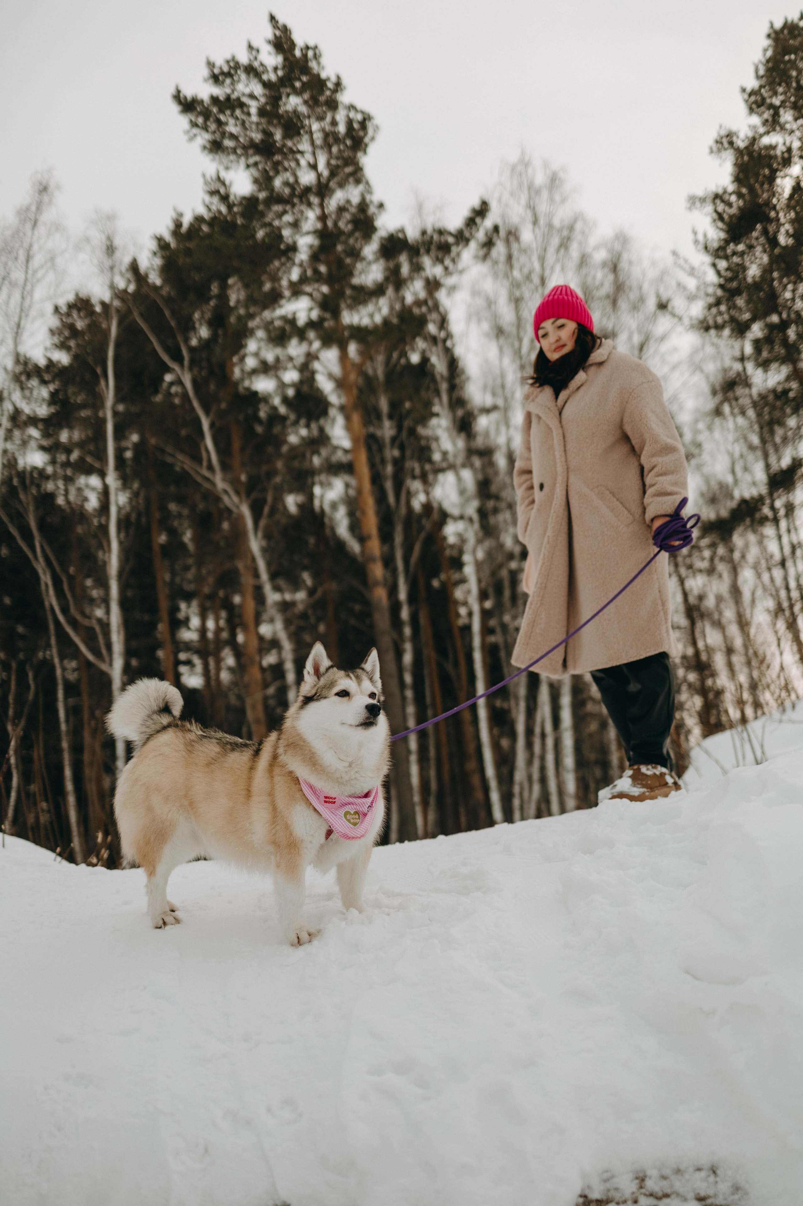 Варвара и Шелби. Фотограф-анималист в Екатеринбурге | Кристина