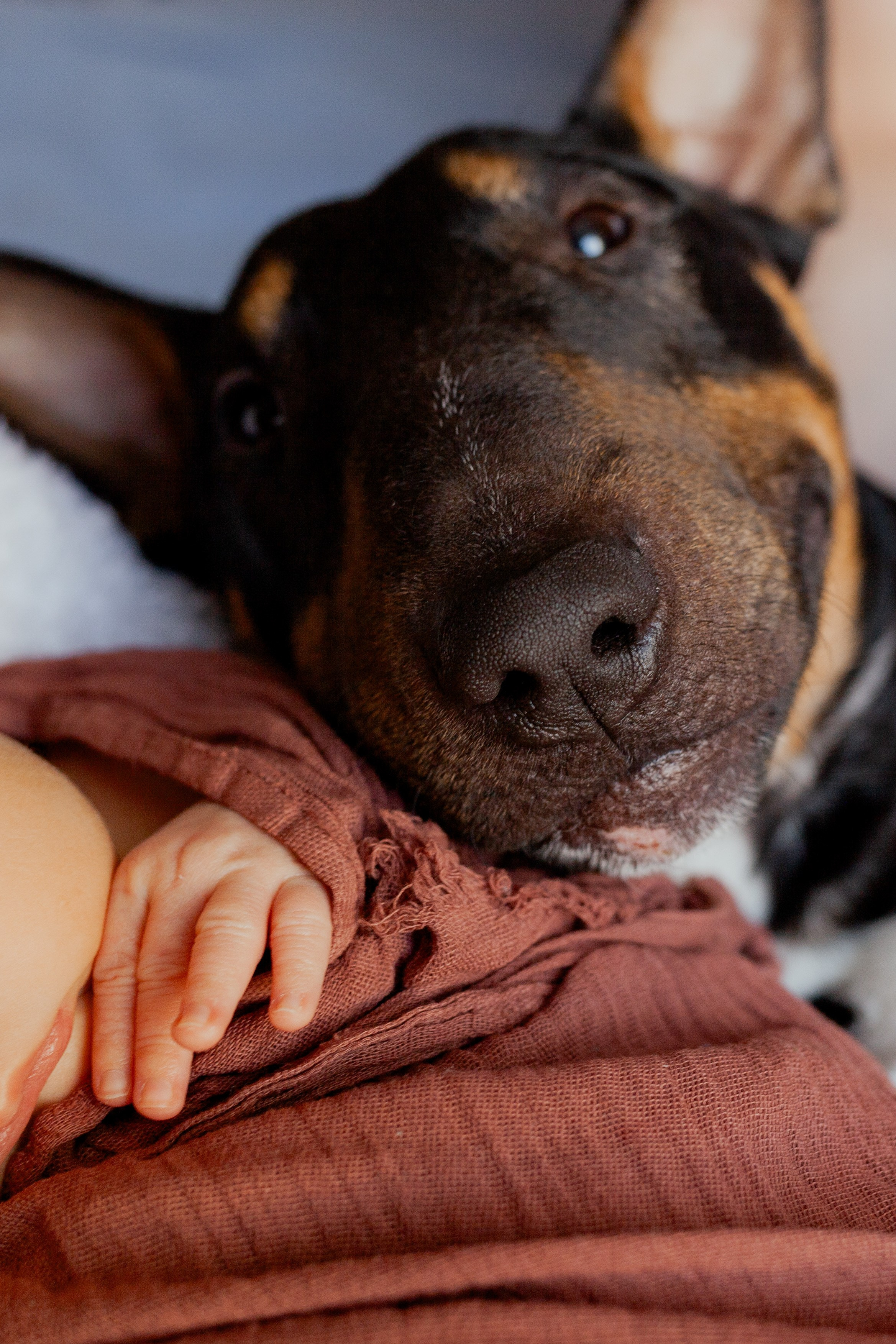 Женя, Саша и Лёвик (+ Юнкай). Фотограф в Петербурге
