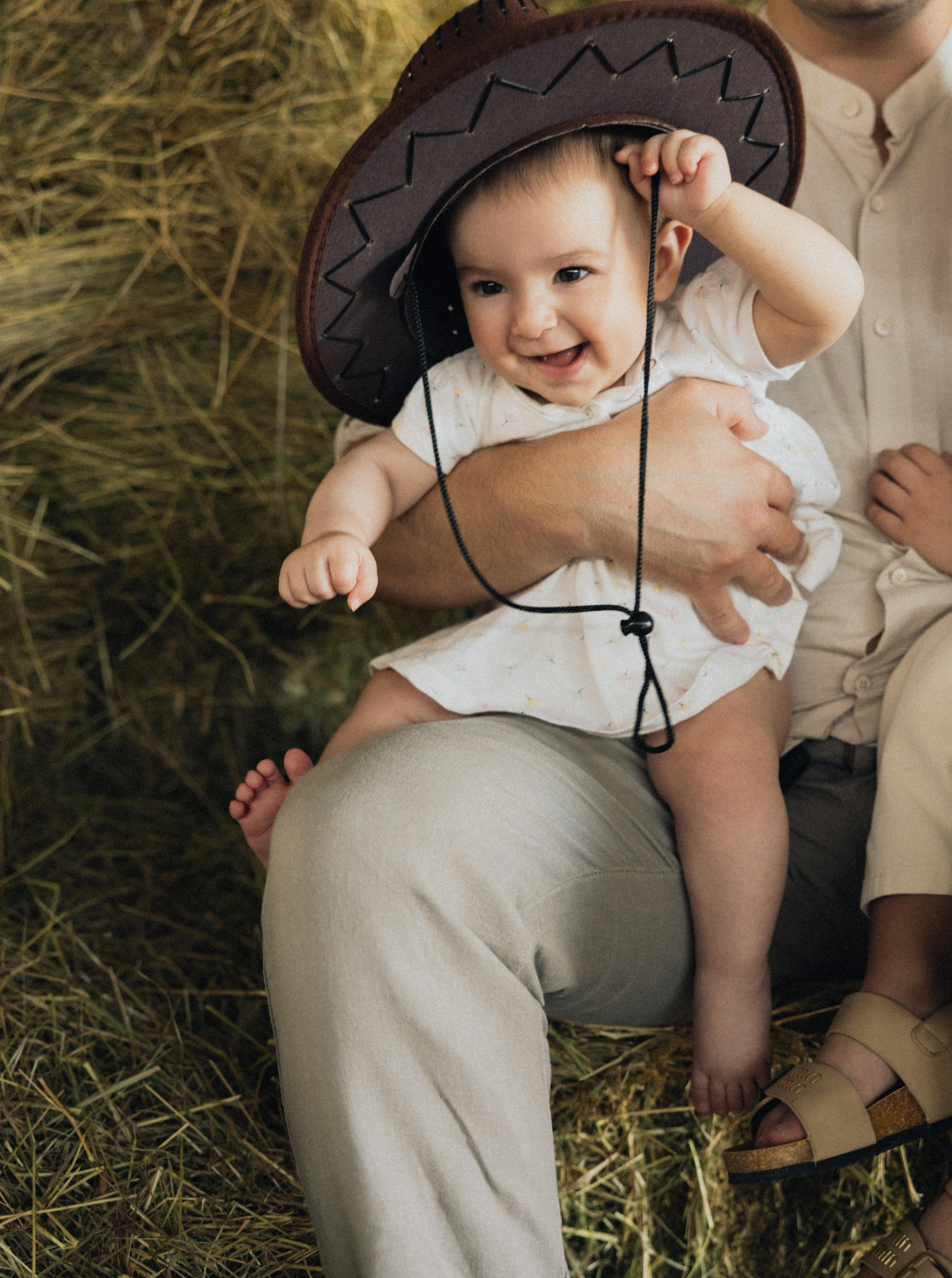 Golden Horse. Фотограф Алина Мкртычева