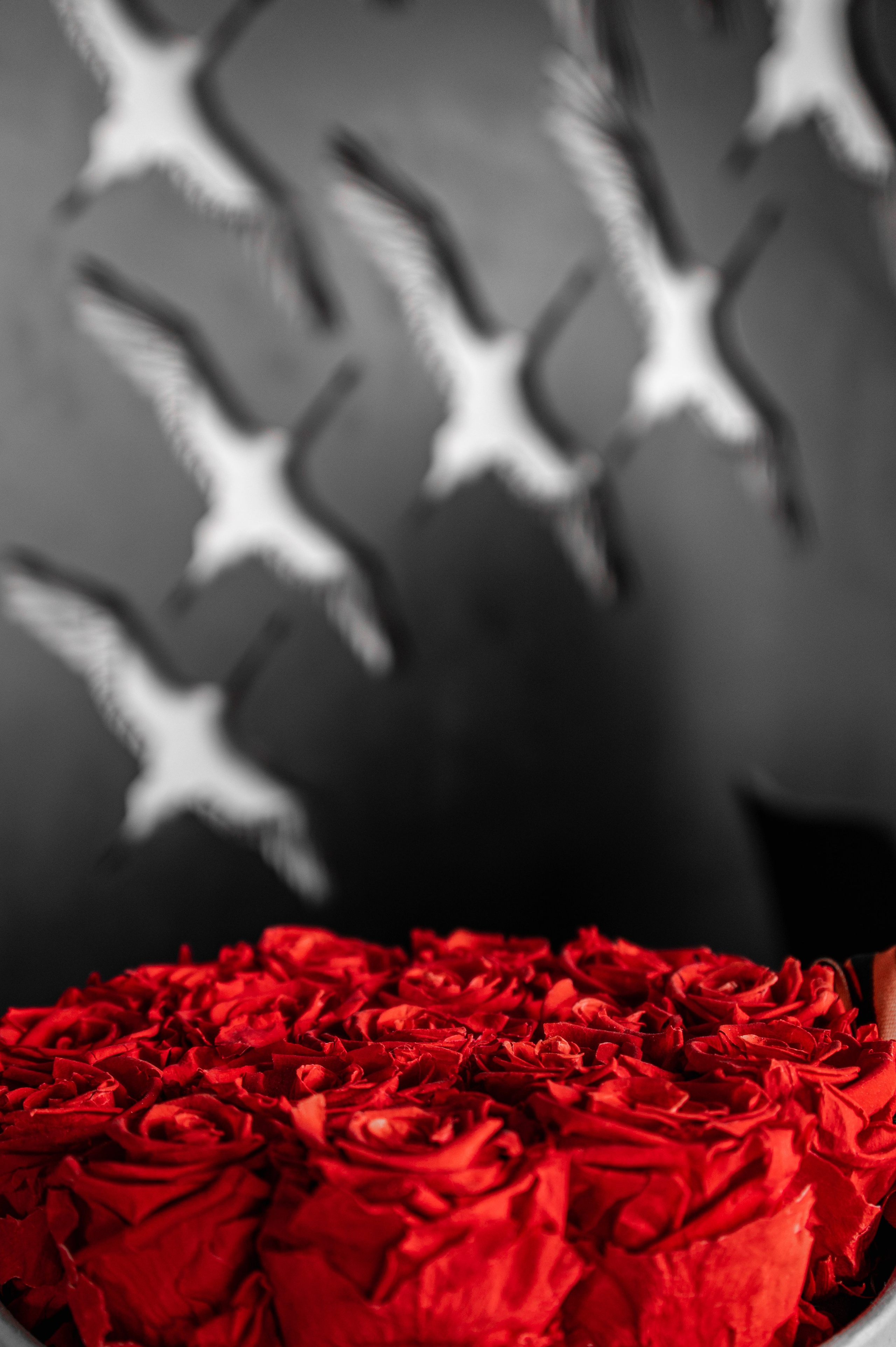 Ржевский мемориал. Фотограф Роман Адлер