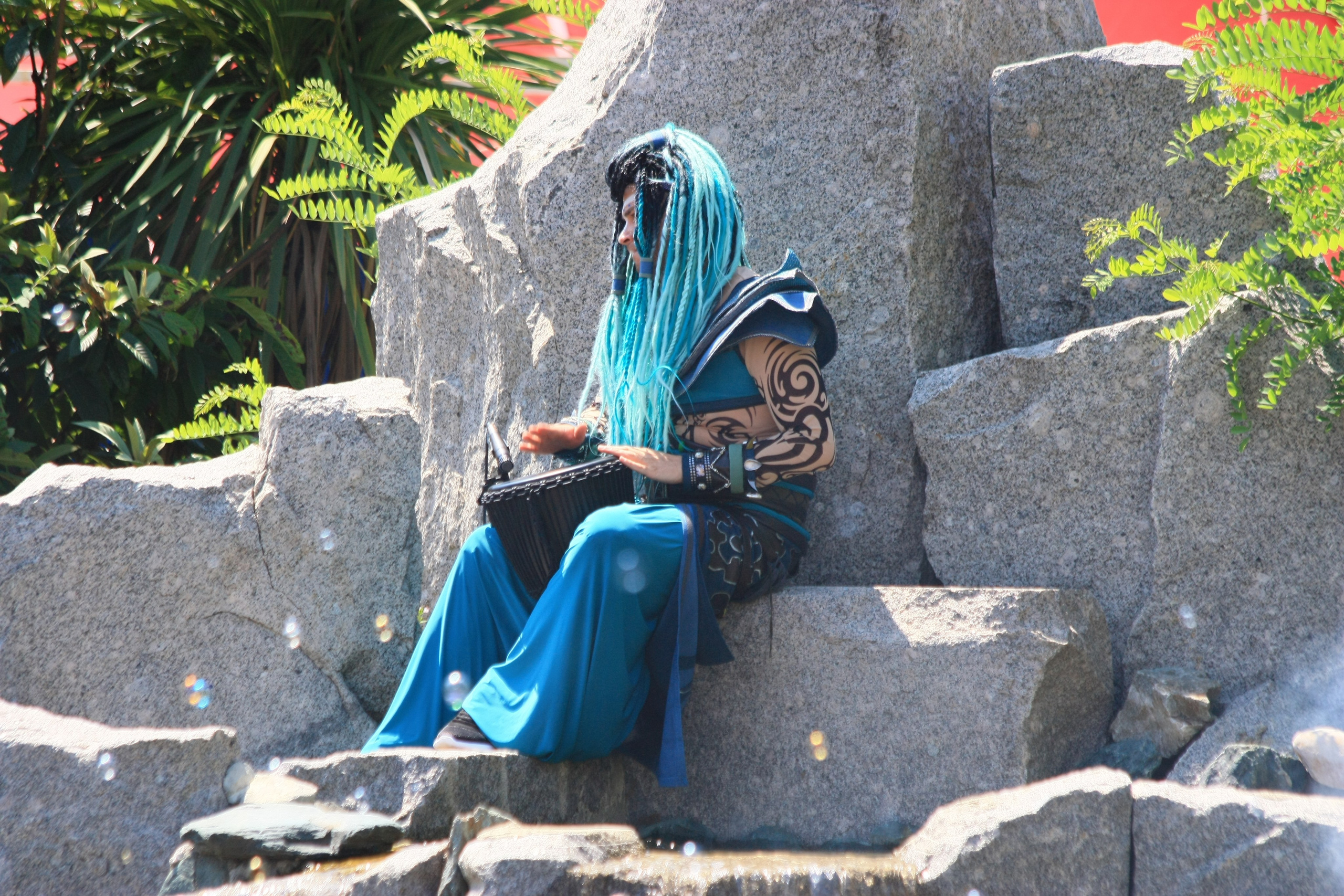 Первые кадры. Сочи — парк. Фотограф Роман Адлер