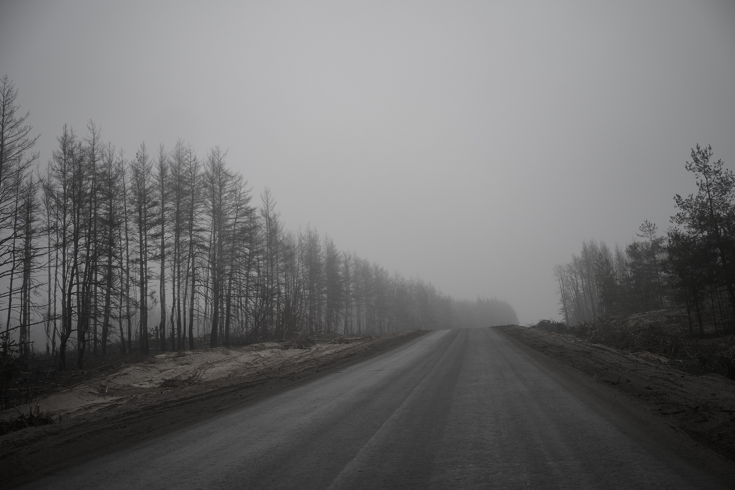 Дорога домой. Туман. Фотограф Роман Адлер