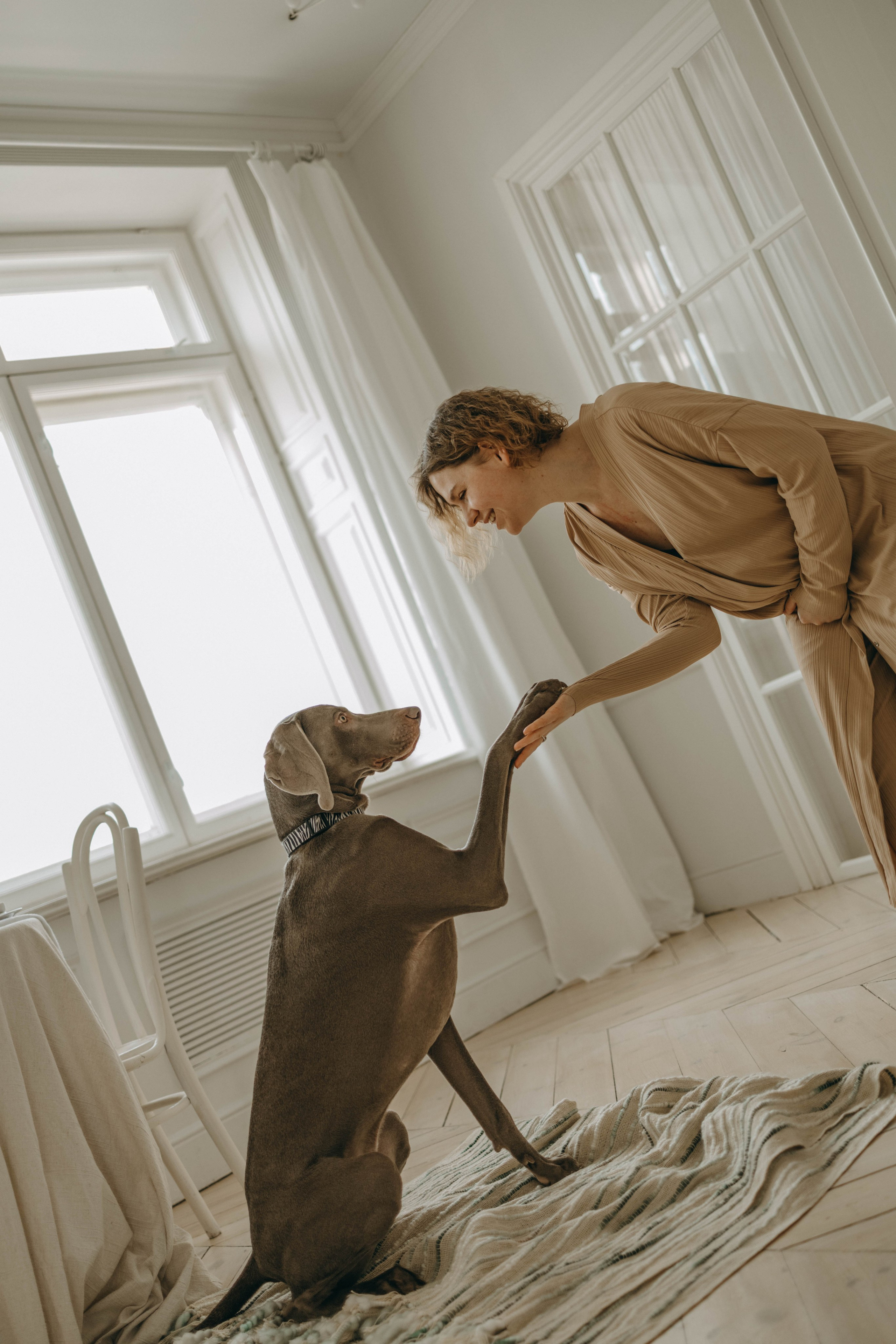 Фотосессия в студии с собакой. Фотограф-анималист в Екатеринбурге | Кристина