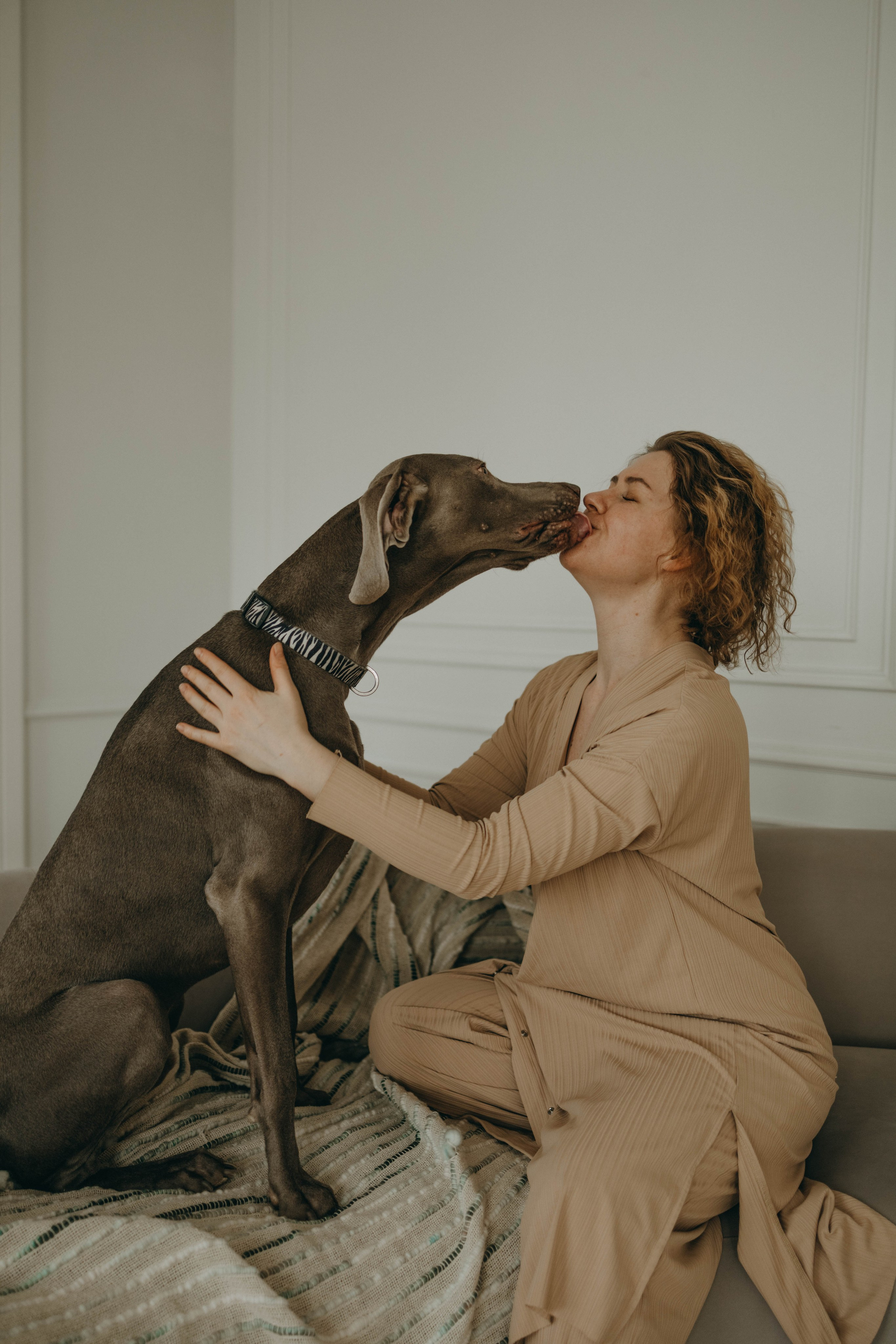 Фотосессия в студии с собакой. Фотограф-анималист в Екатеринбурге | Кристина