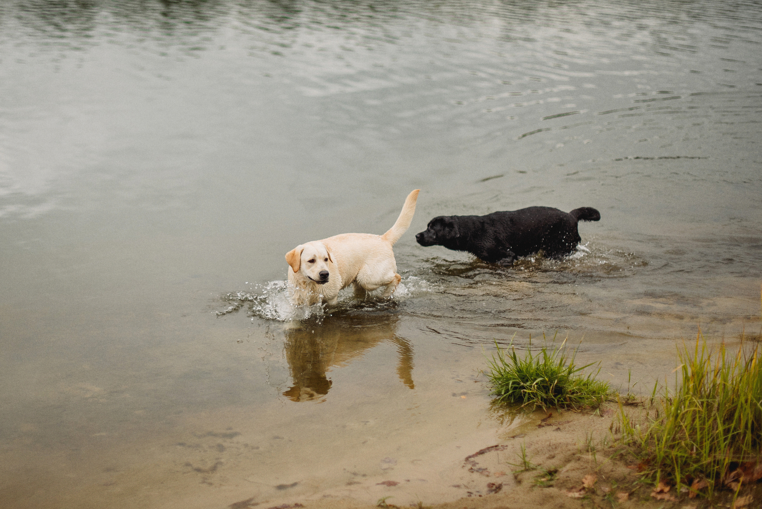 НАСТРОЕНИЕ — ОСЕНЬ!. Свадебный и семейный фотограф РИТА БОЧКАРЁВА