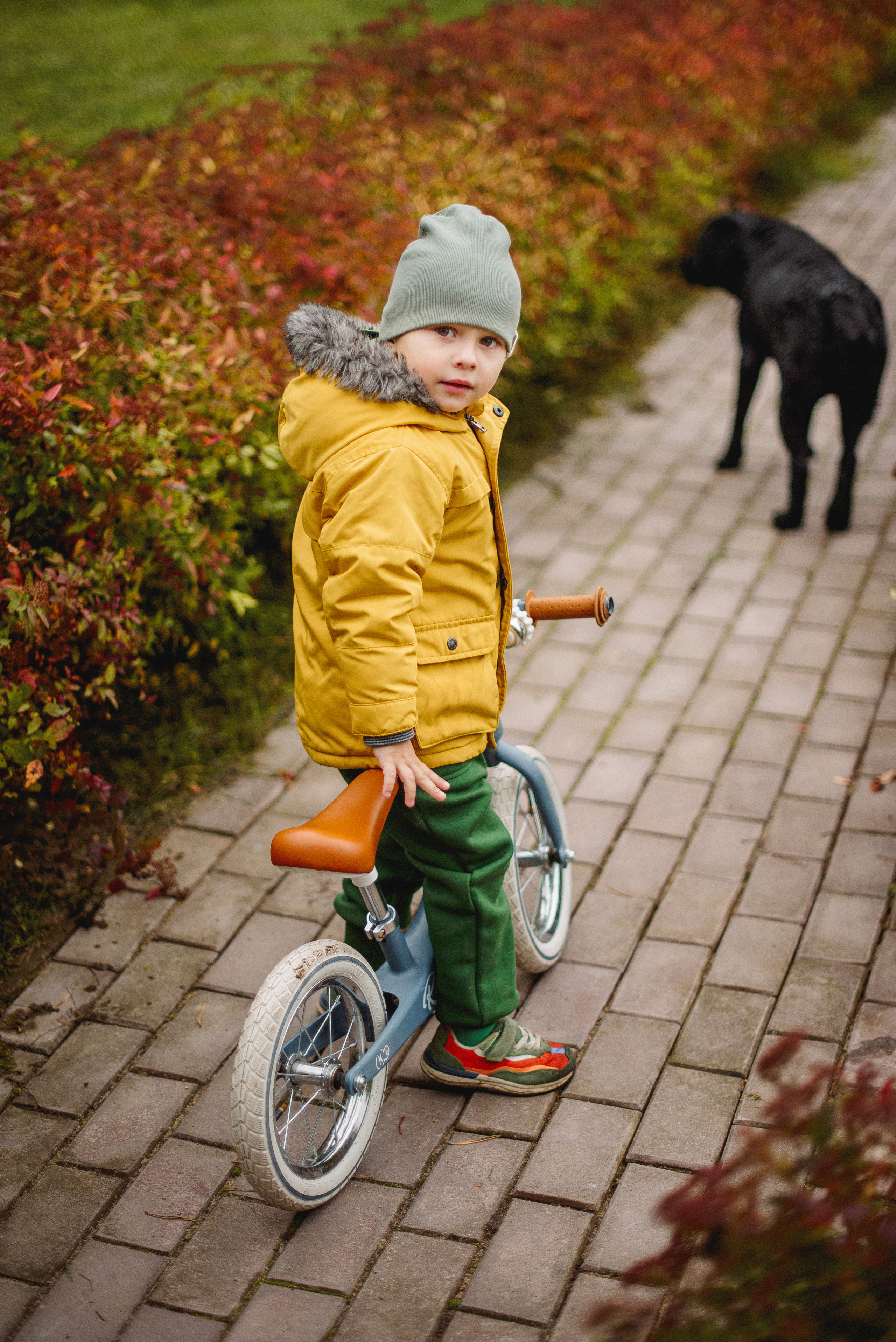 НАСТРОЕНИЕ — ОСЕНЬ!. Свадебный и семейный фотограф РИТА БОЧКАРЁВА