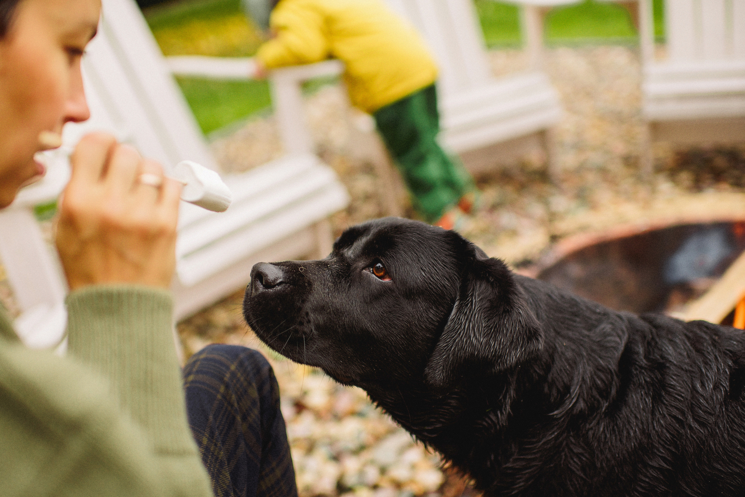 НАСТРОЕНИЕ — ОСЕНЬ!. Свадебный и семейный фотограф РИТА БОЧКАРЁВА