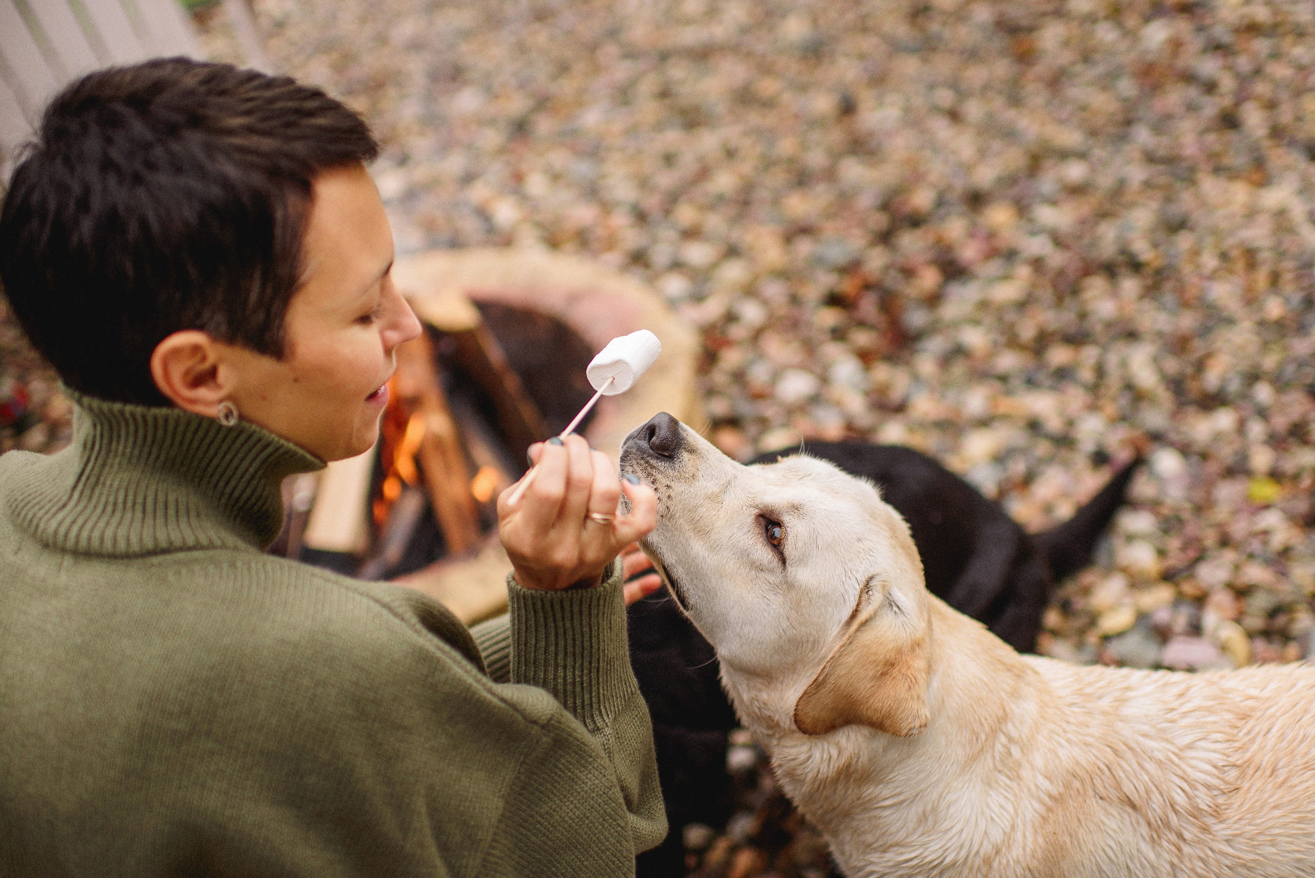 НАСТРОЕНИЕ — ОСЕНЬ!. Свадебный и семейный фотограф РИТА БОЧКАРЁВА