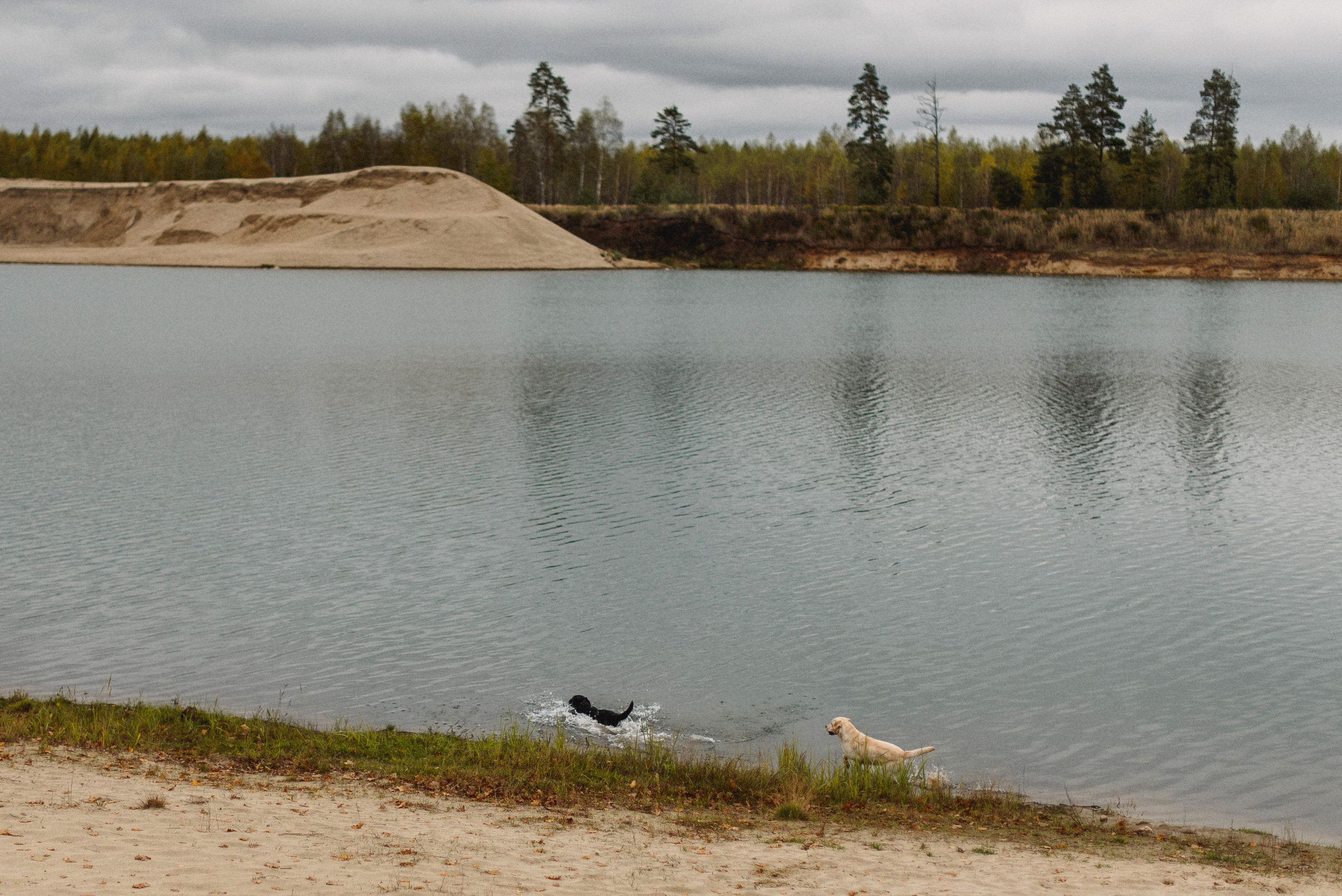 НАСТРОЕНИЕ — ОСЕНЬ!. Свадебный и семейный фотограф РИТА БОЧКАРЁВА