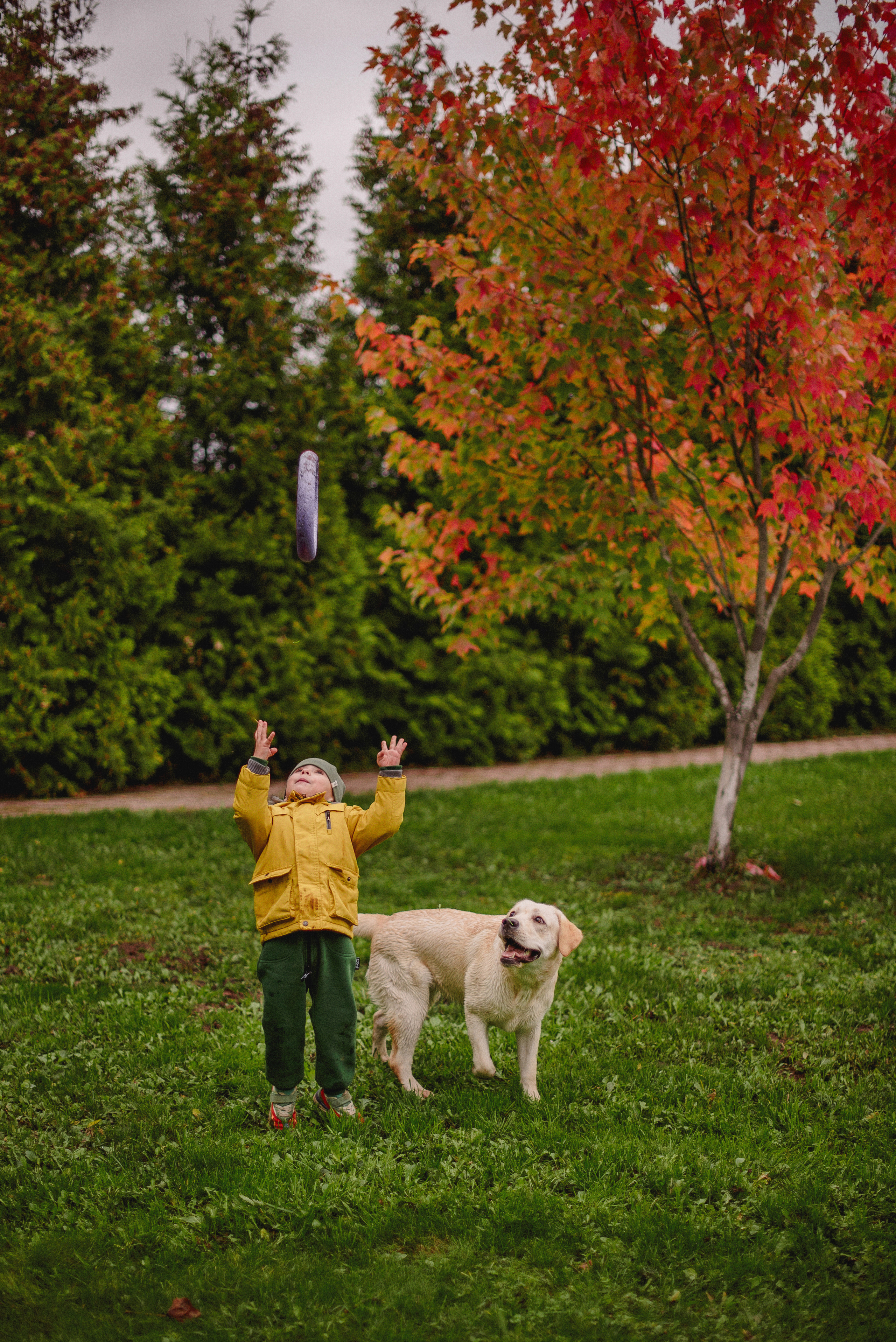 НАСТРОЕНИЕ — ОСЕНЬ!. Свадебный и семейный фотограф РИТА БОЧКАРЁВА