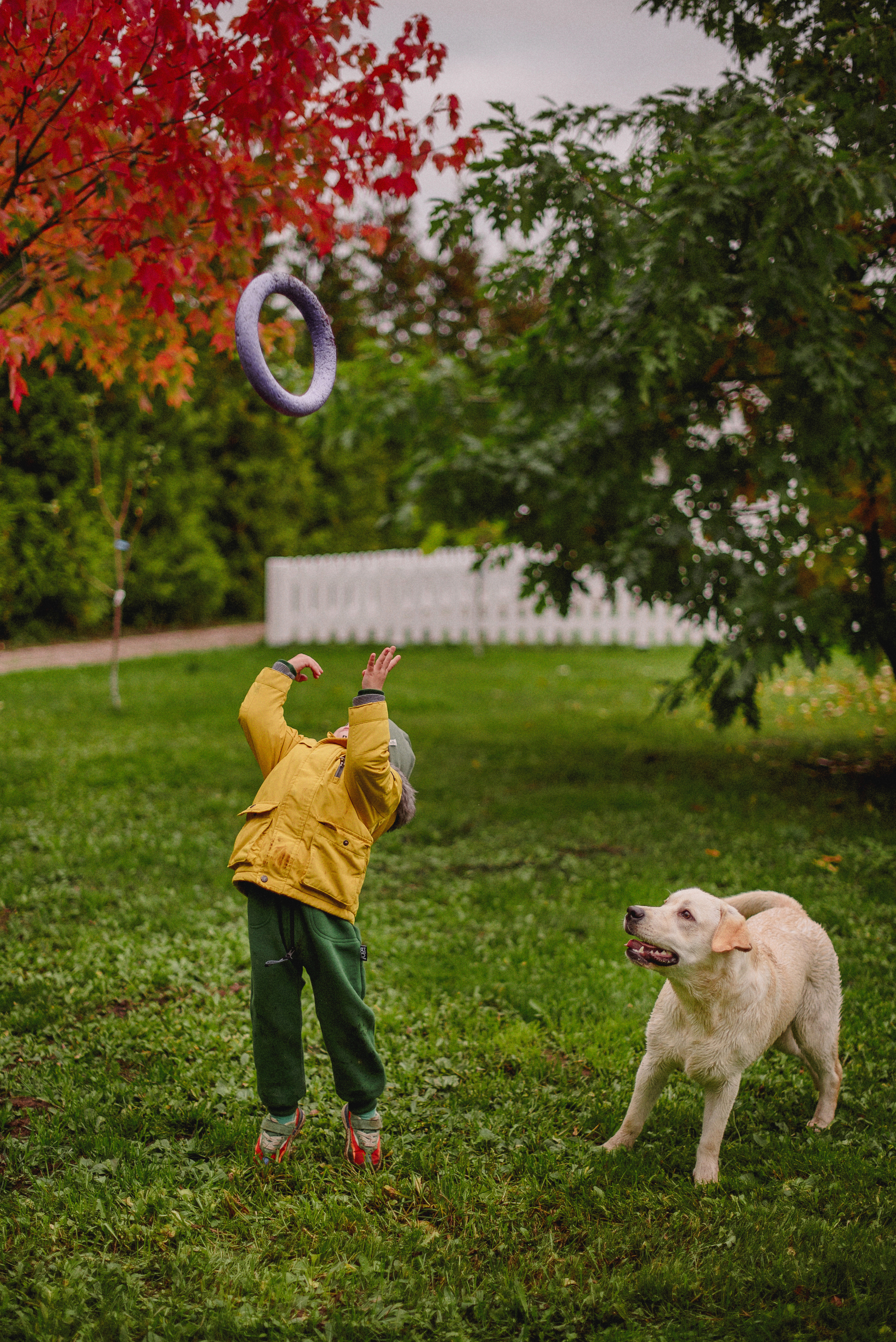 НАСТРОЕНИЕ — ОСЕНЬ!. Свадебный и семейный фотограф РИТА БОЧКАРЁВА