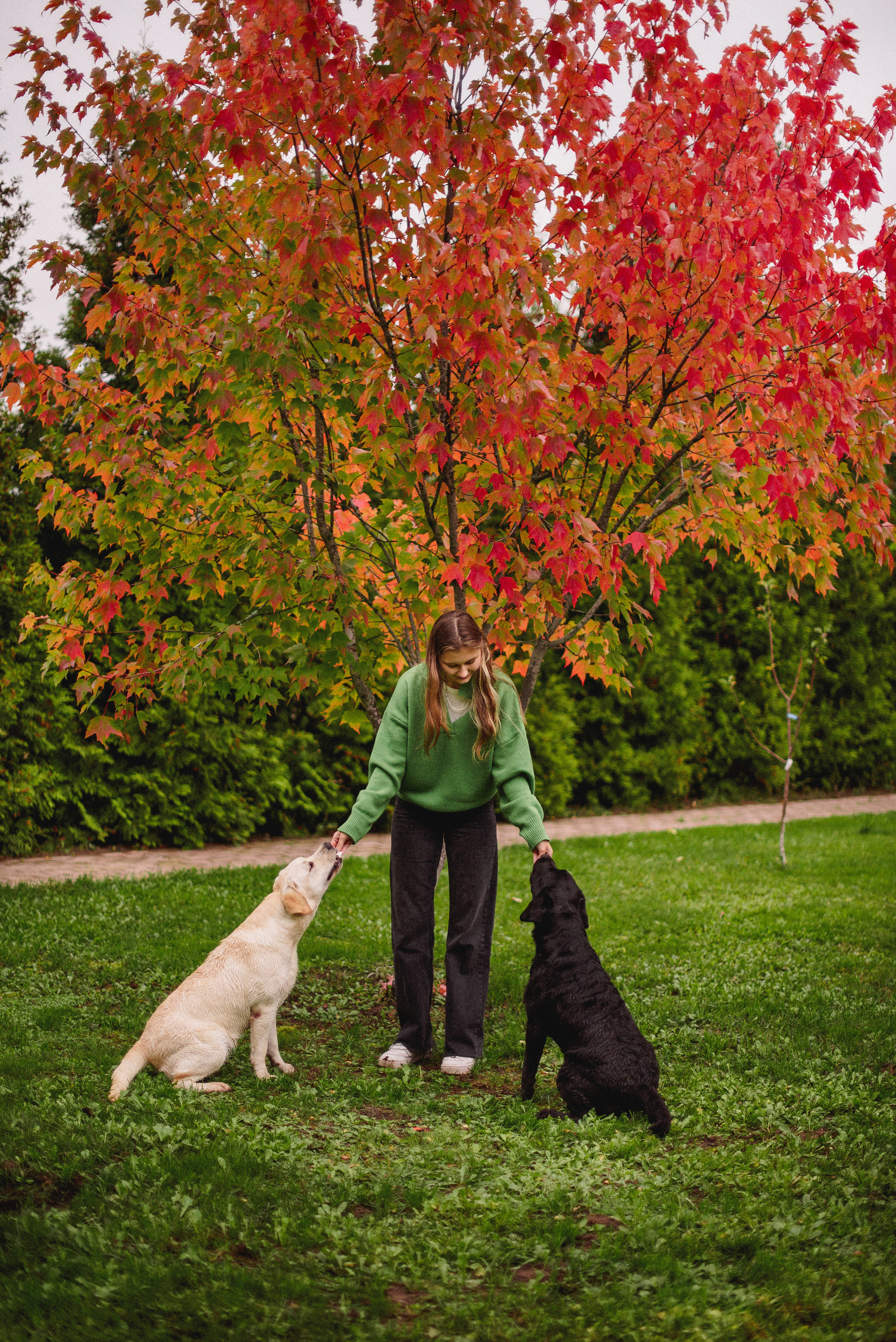 НАСТРОЕНИЕ — ОСЕНЬ!. Свадебный и семейный фотограф РИТА БОЧКАРЁВА