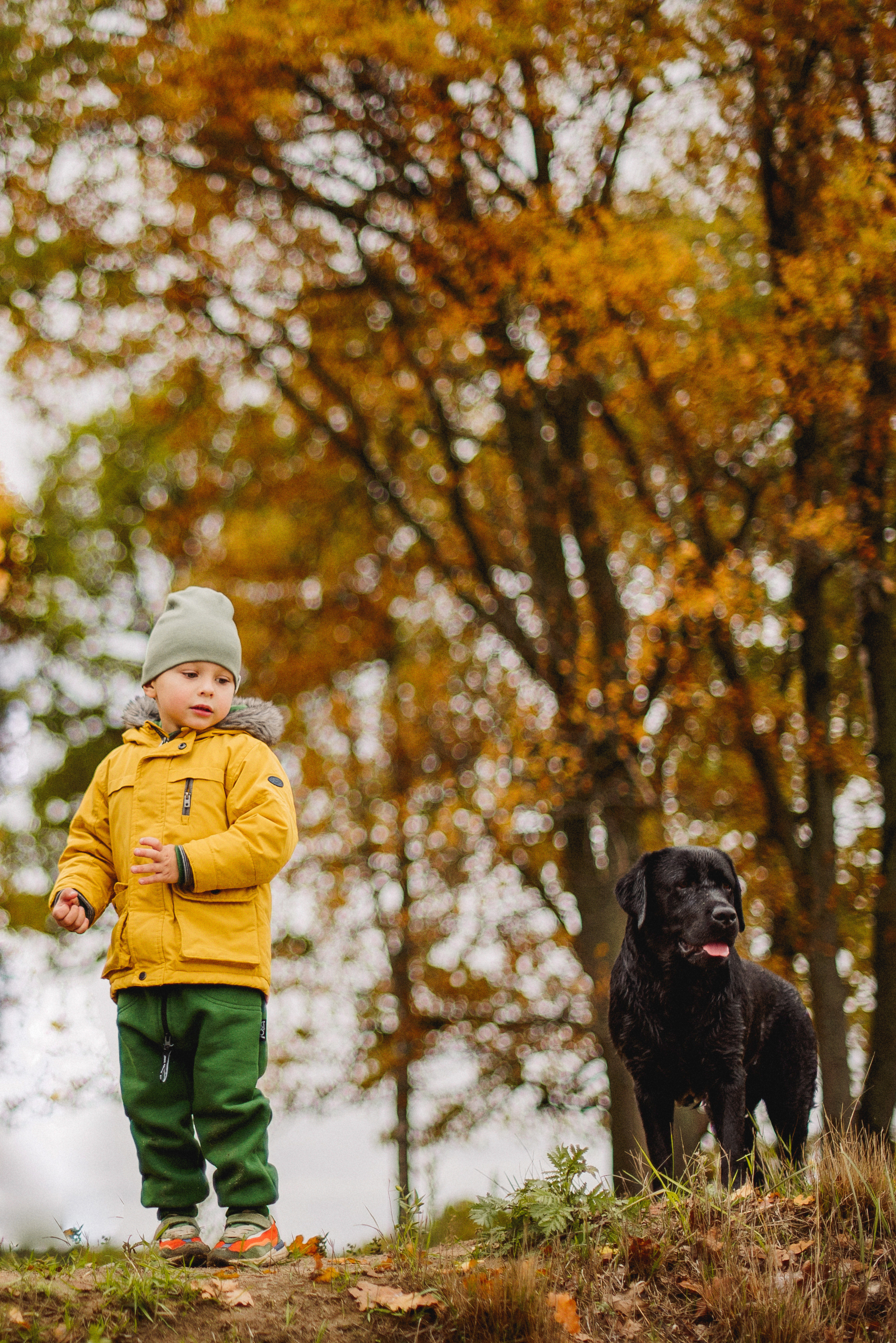 НАСТРОЕНИЕ — ОСЕНЬ!. Свадебный и семейный фотограф РИТА БОЧКАРЁВА