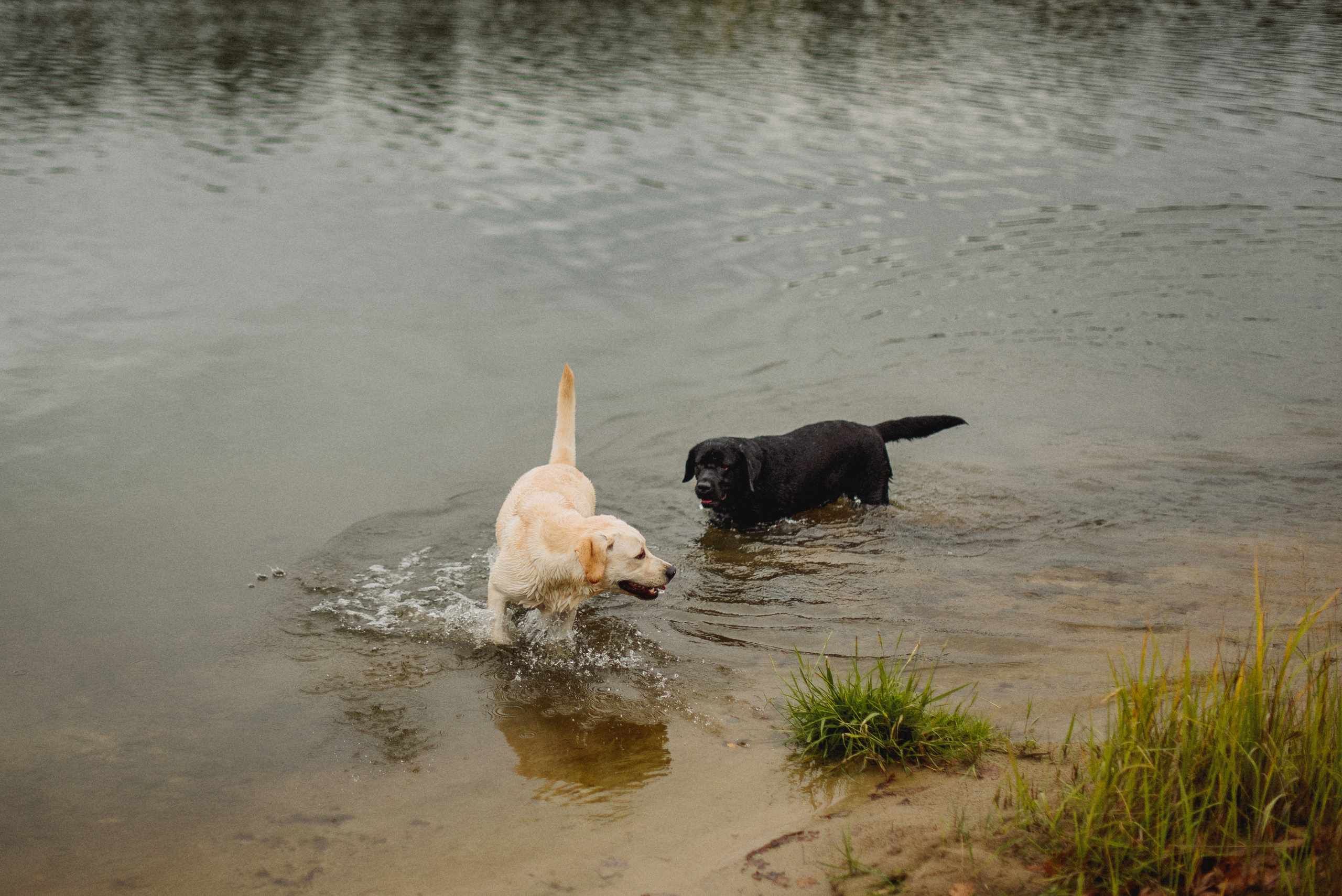 НАСТРОЕНИЕ — ОСЕНЬ!. Свадебный и семейный фотограф РИТА БОЧКАРЁВА