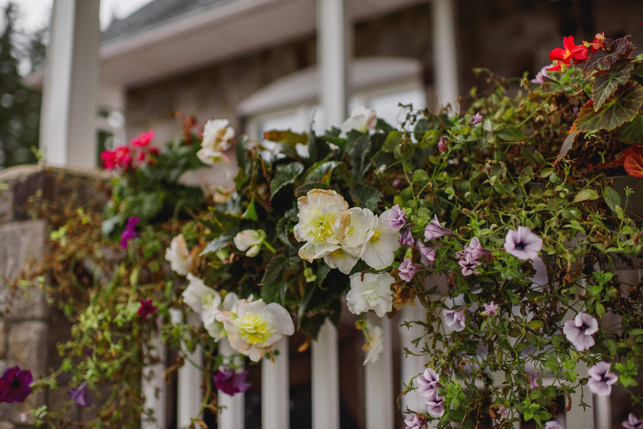 НАСТРОЕНИЕ — ОСЕНЬ!. Свадебный и семейный фотограф РИТА БОЧКАРЁВА