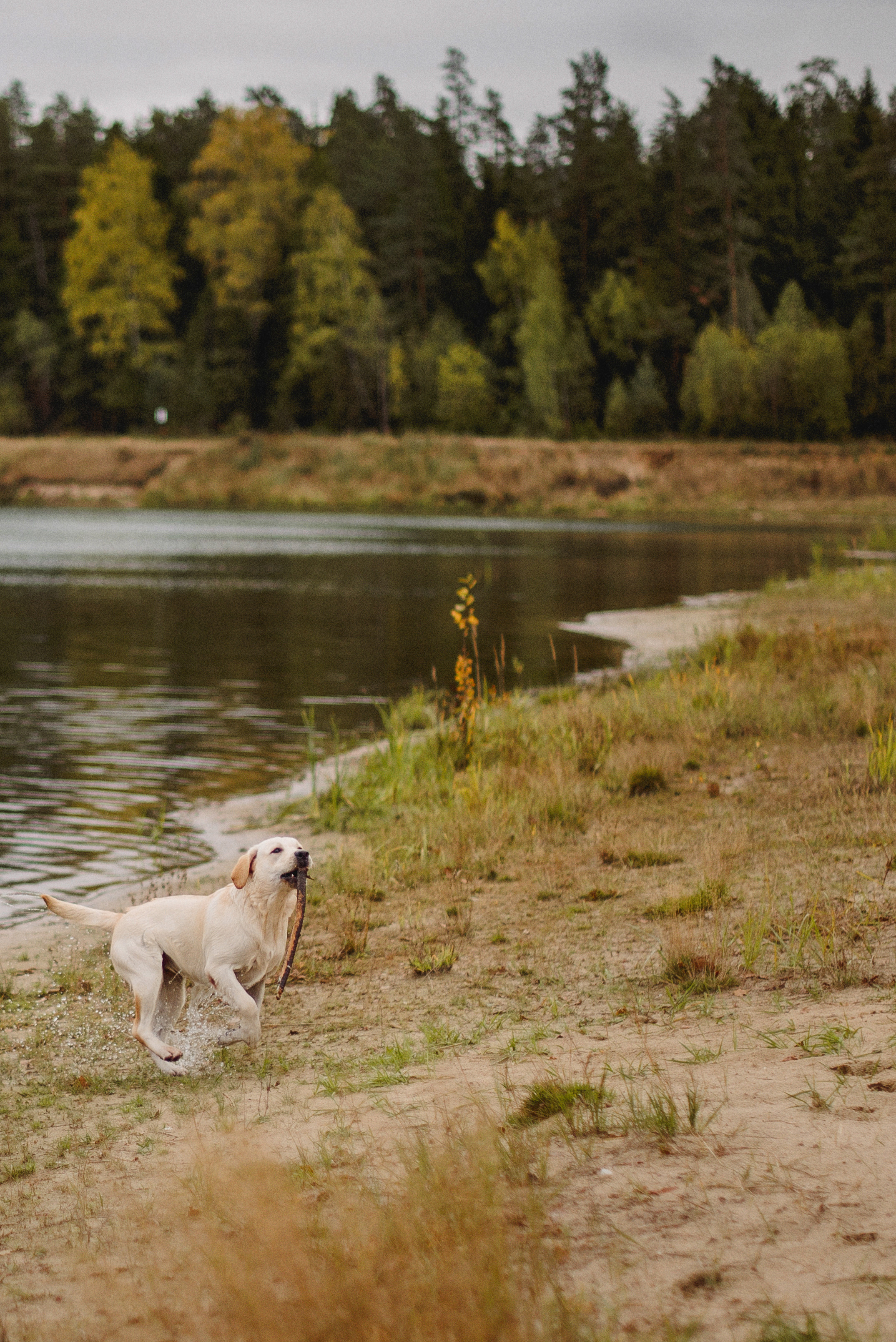 НАСТРОЕНИЕ — ОСЕНЬ!. Свадебный и семейный фотограф РИТА БОЧКАРЁВА