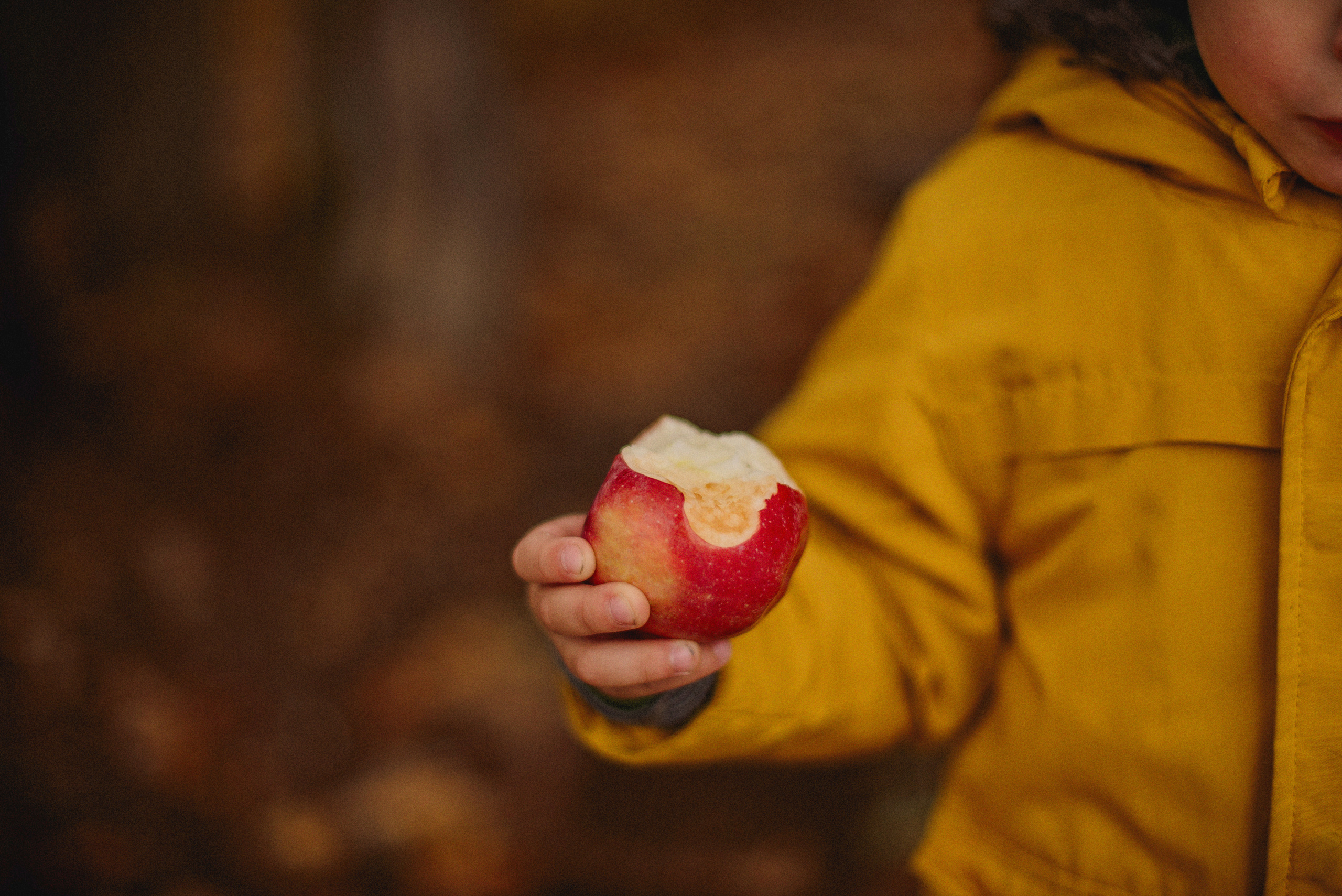 НАСТРОЕНИЕ — ОСЕНЬ!. Свадебный и семейный фотограф РИТА БОЧКАРЁВА
