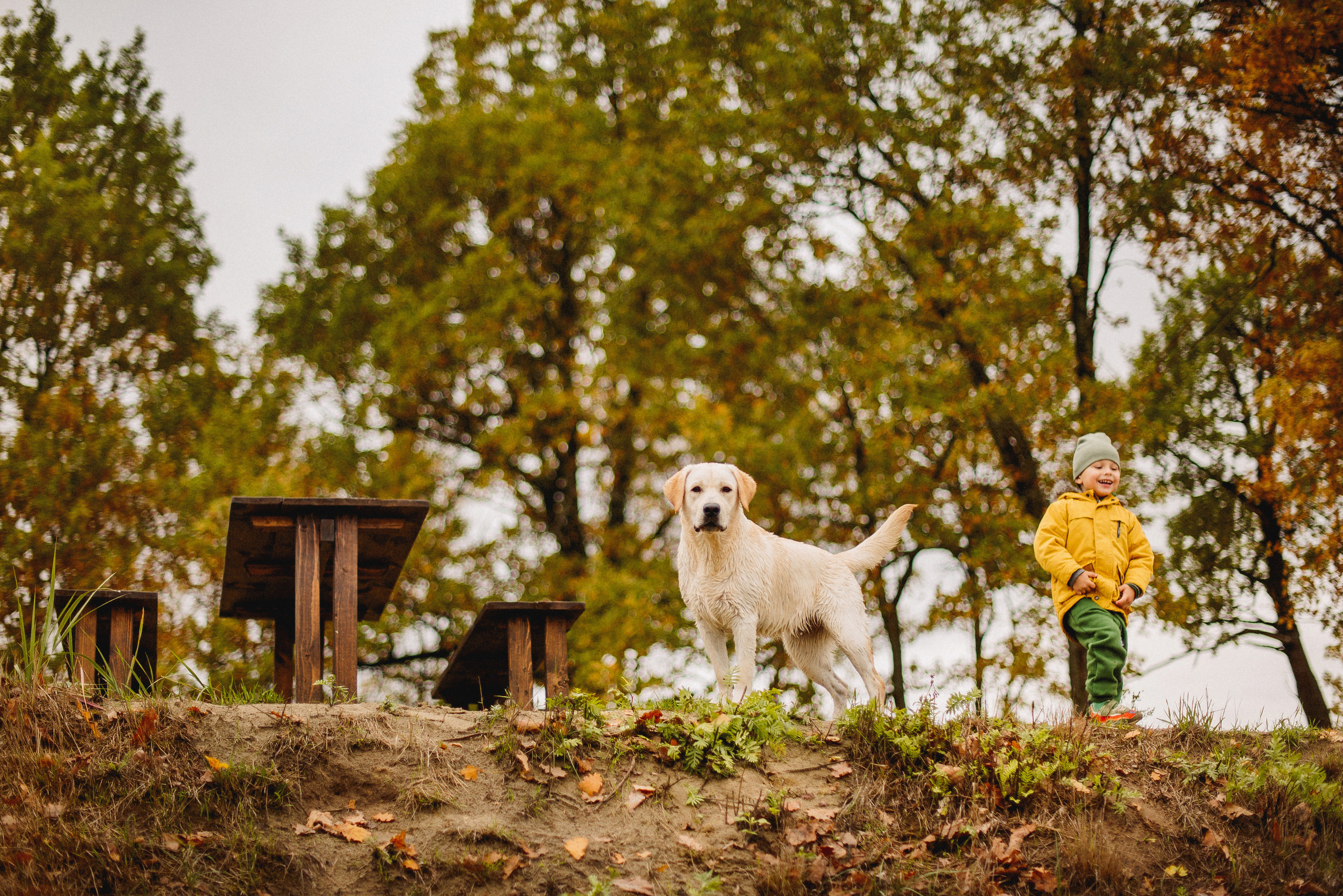НАСТРОЕНИЕ — ОСЕНЬ!. Свадебный и семейный фотограф РИТА БОЧКАРЁВА