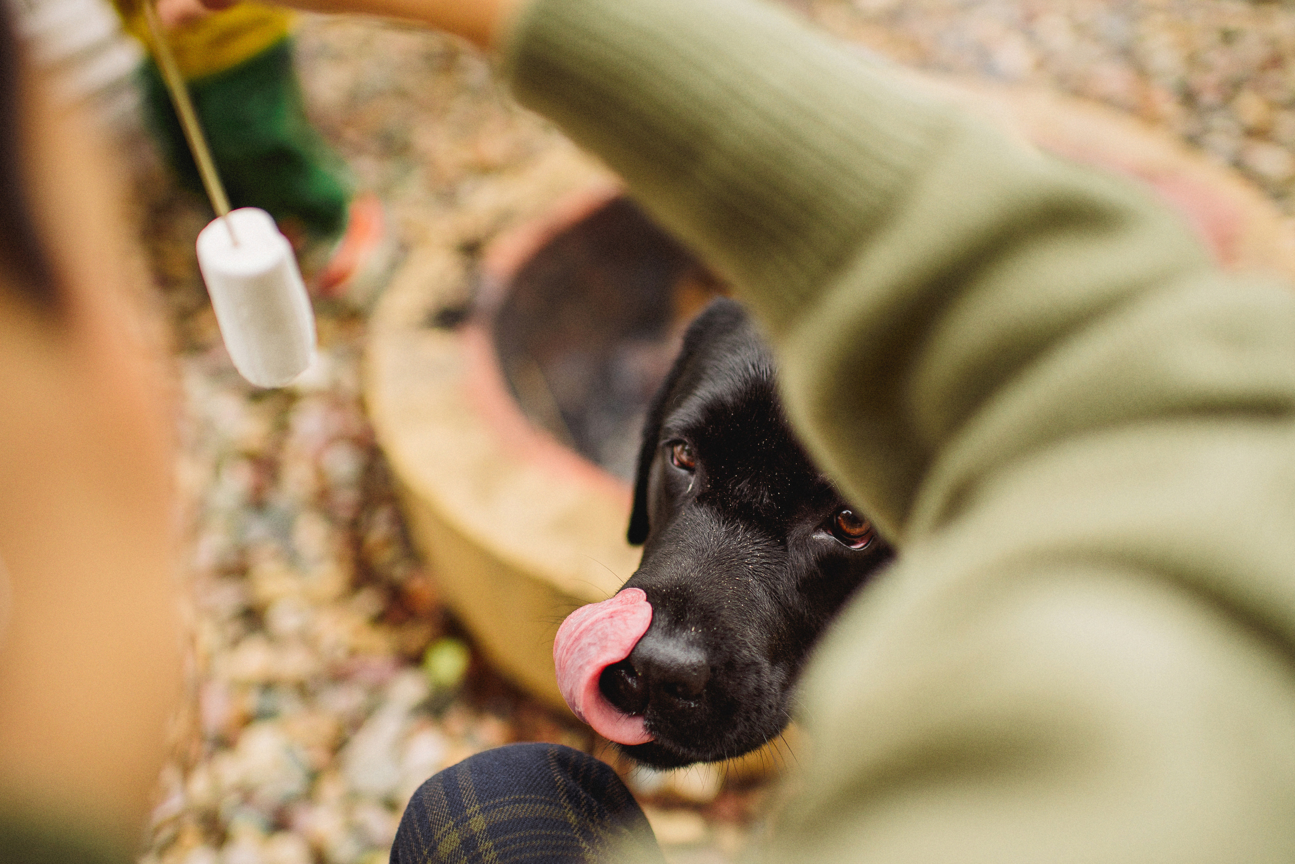 НАСТРОЕНИЕ — ОСЕНЬ!. Свадебный и семейный фотограф РИТА БОЧКАРЁВА