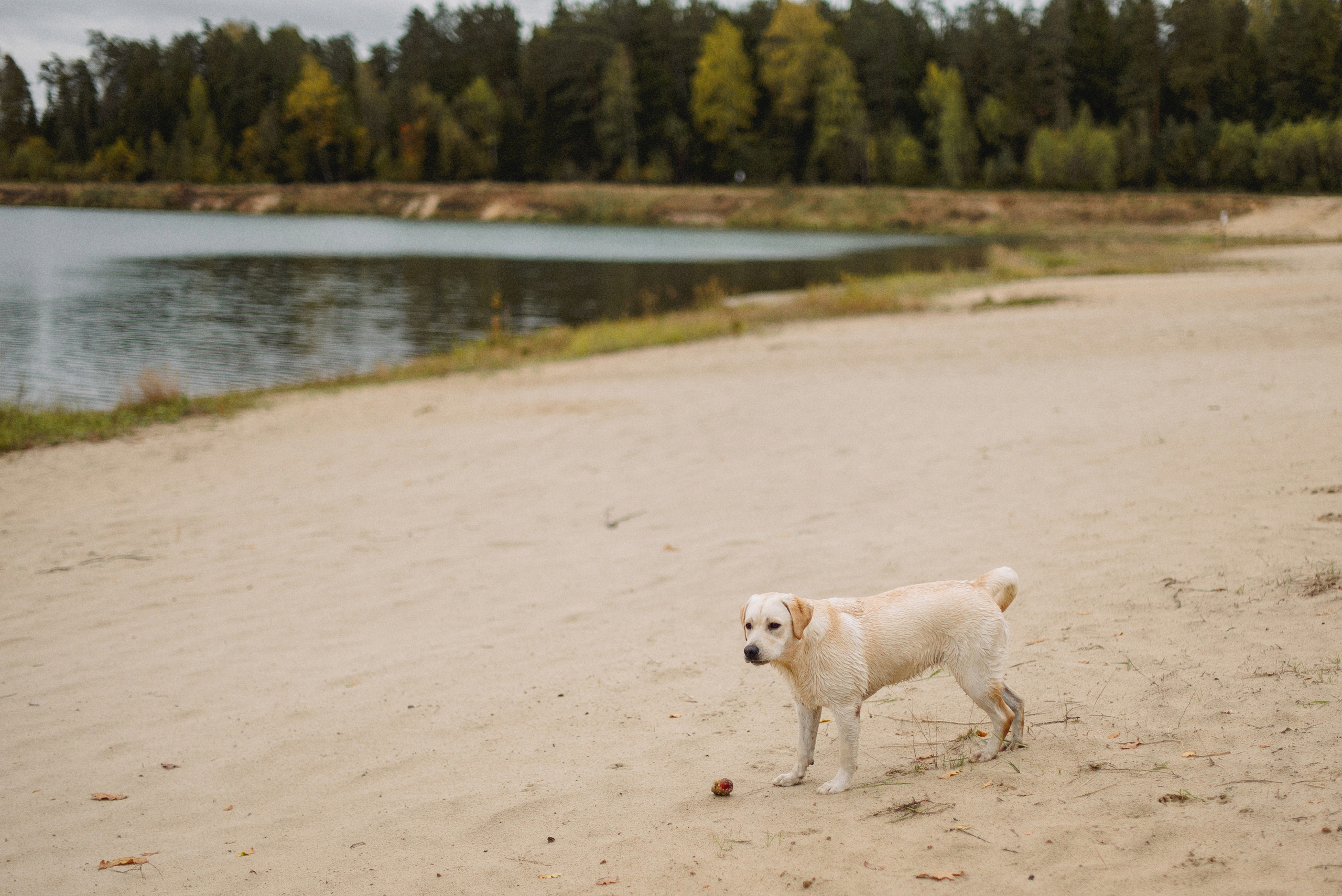 НАСТРОЕНИЕ — ОСЕНЬ!. Свадебный и семейный фотограф РИТА БОЧКАРЁВА