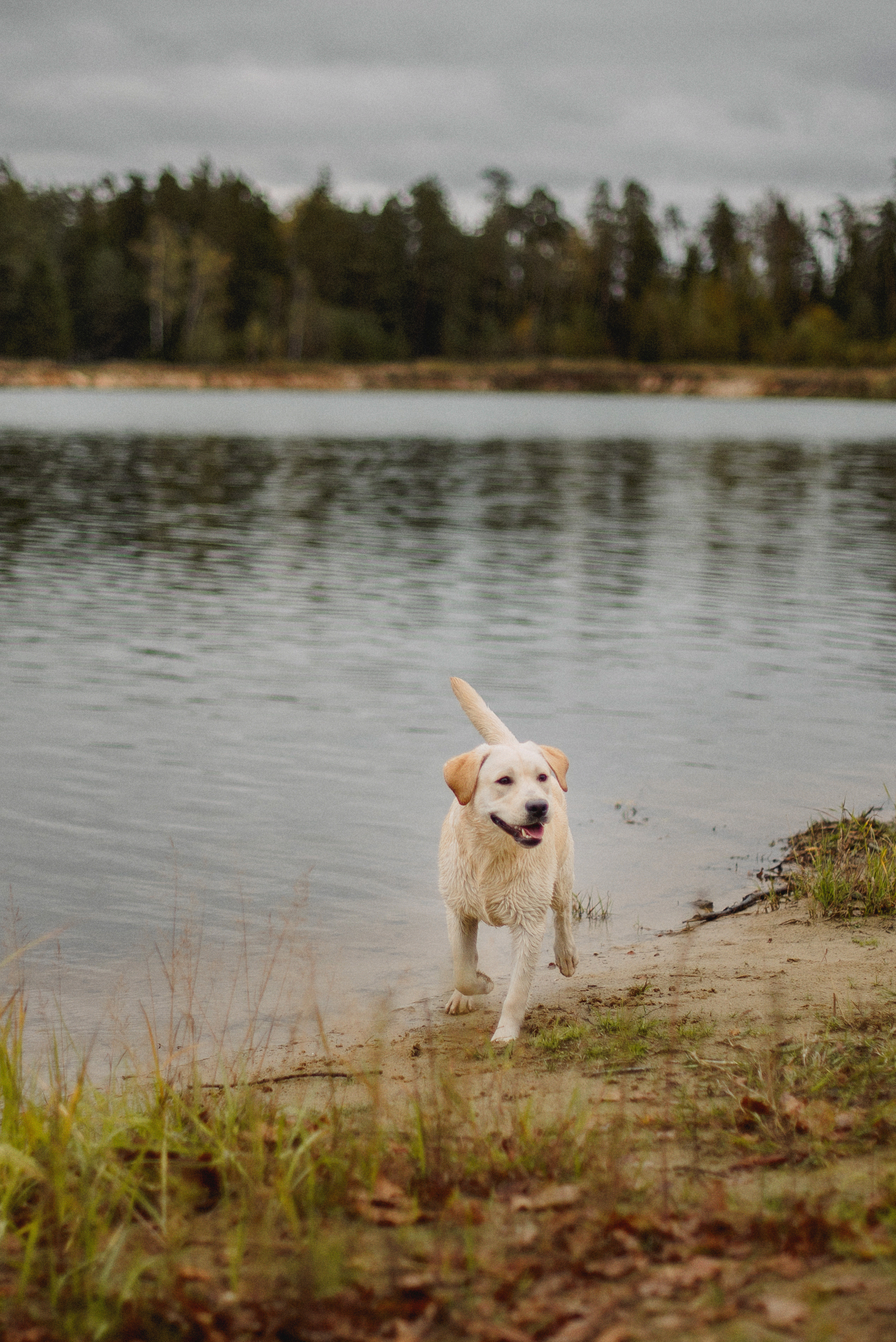 НАСТРОЕНИЕ — ОСЕНЬ!. Свадебный и семейный фотограф РИТА БОЧКАРЁВА