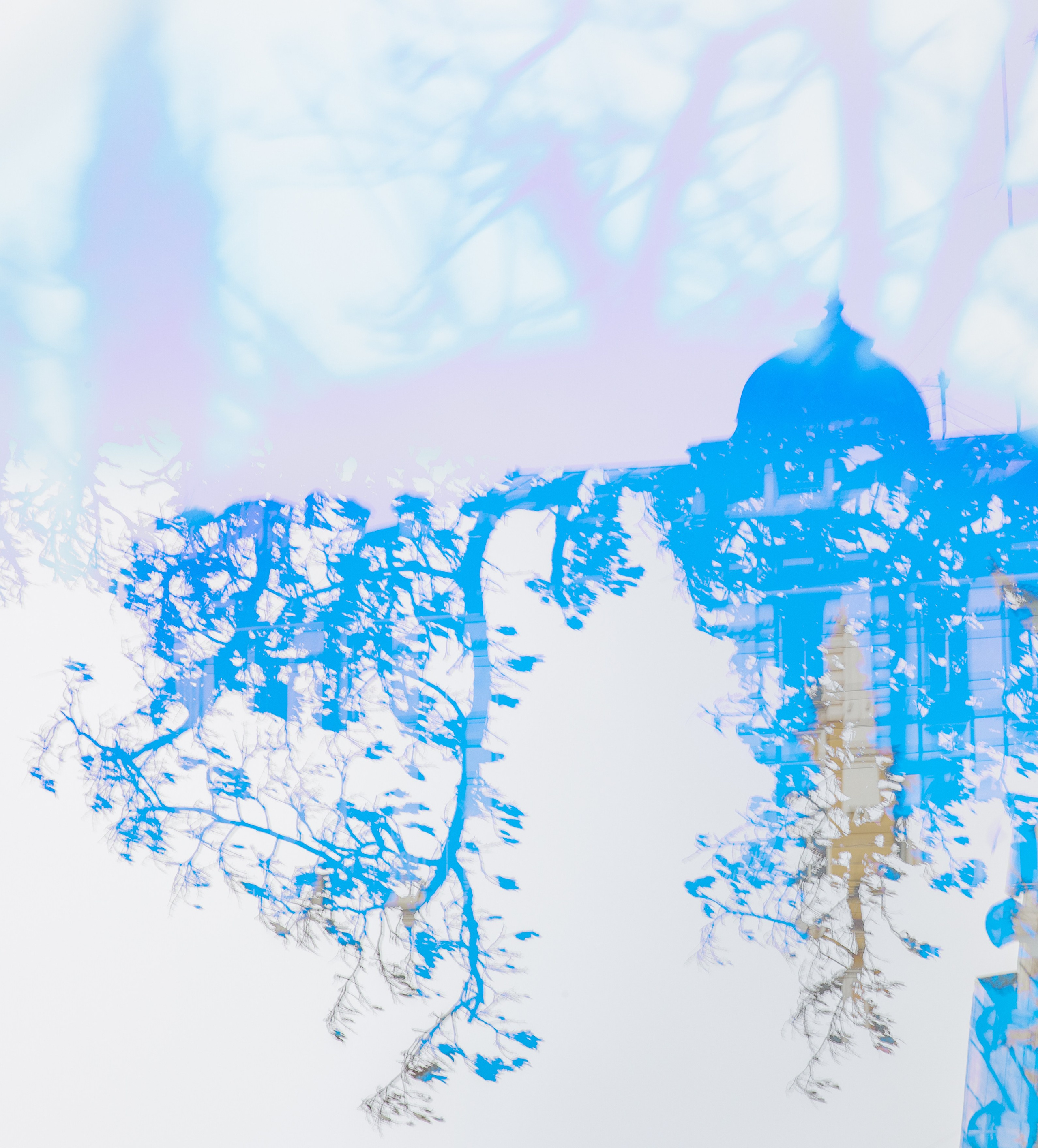 СТРОФА 2 — ЦВЕТОВЕДЕНИЕ. Photographer Anna Arzamastseva