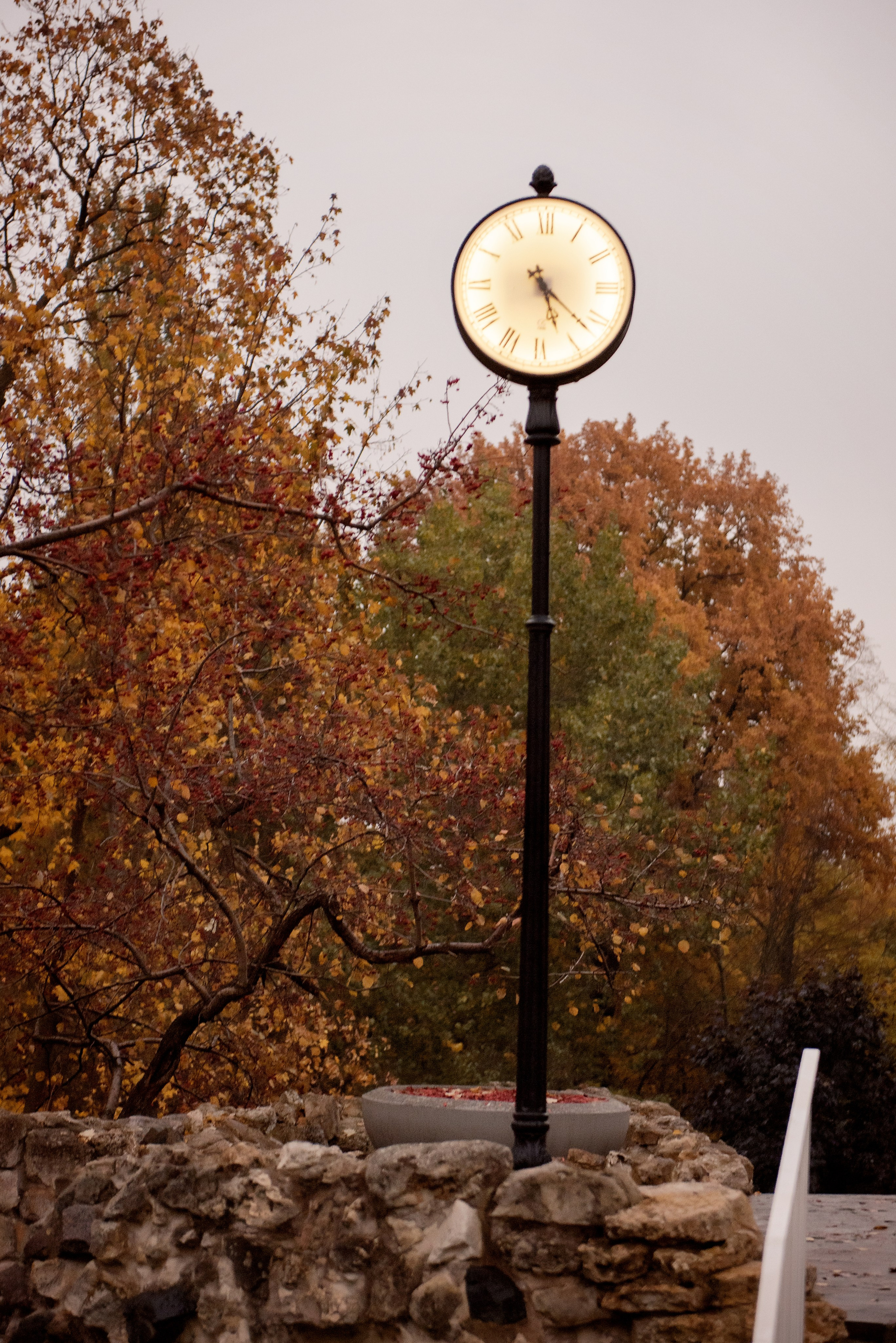 Бауманский сад семейная фотосессия. Детский фотограф в Долгопрудном и Москве